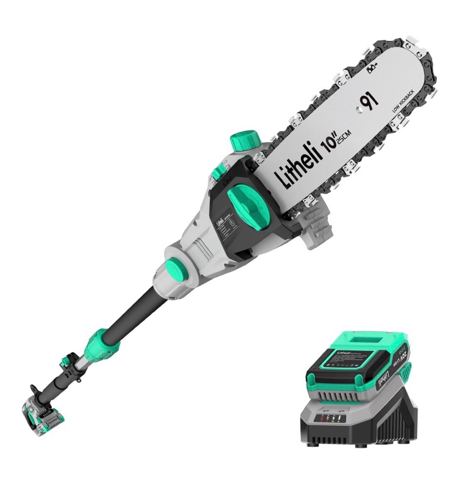 Litheli 20V 10? Cordless Pole Saw Telescopic for Tree Trimming with 2.0Ah Battery & Charger
