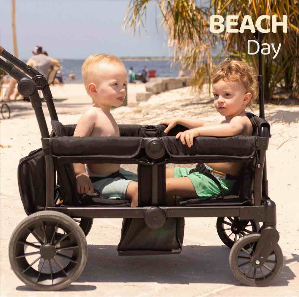 HARPPA Foldable Wagon Stroller for 2 Toddlers with Pull & Push Handle, Canopy, 32.9lbs, Black