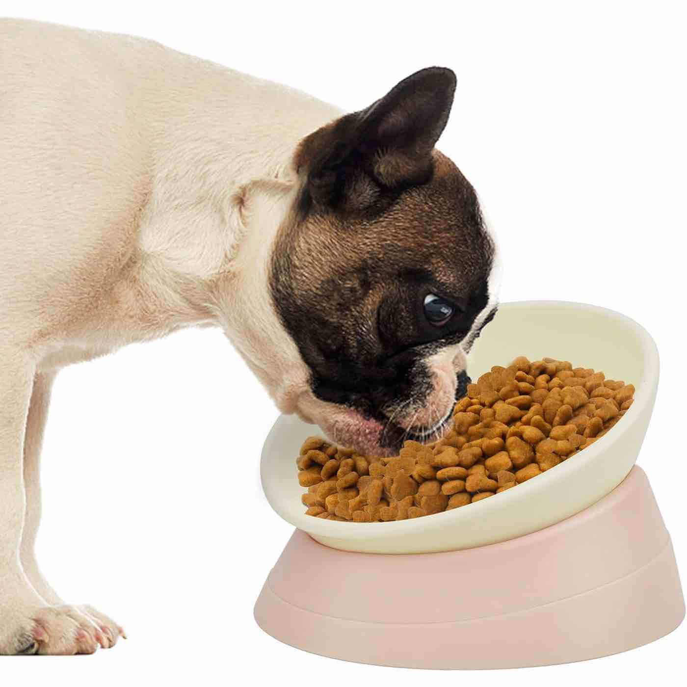 French Bulldog Food Bowl- Slanted Tilted Pug Food Water Bowl,Cat Bowl- Feeder for Frenchie/Shih Tzu/
