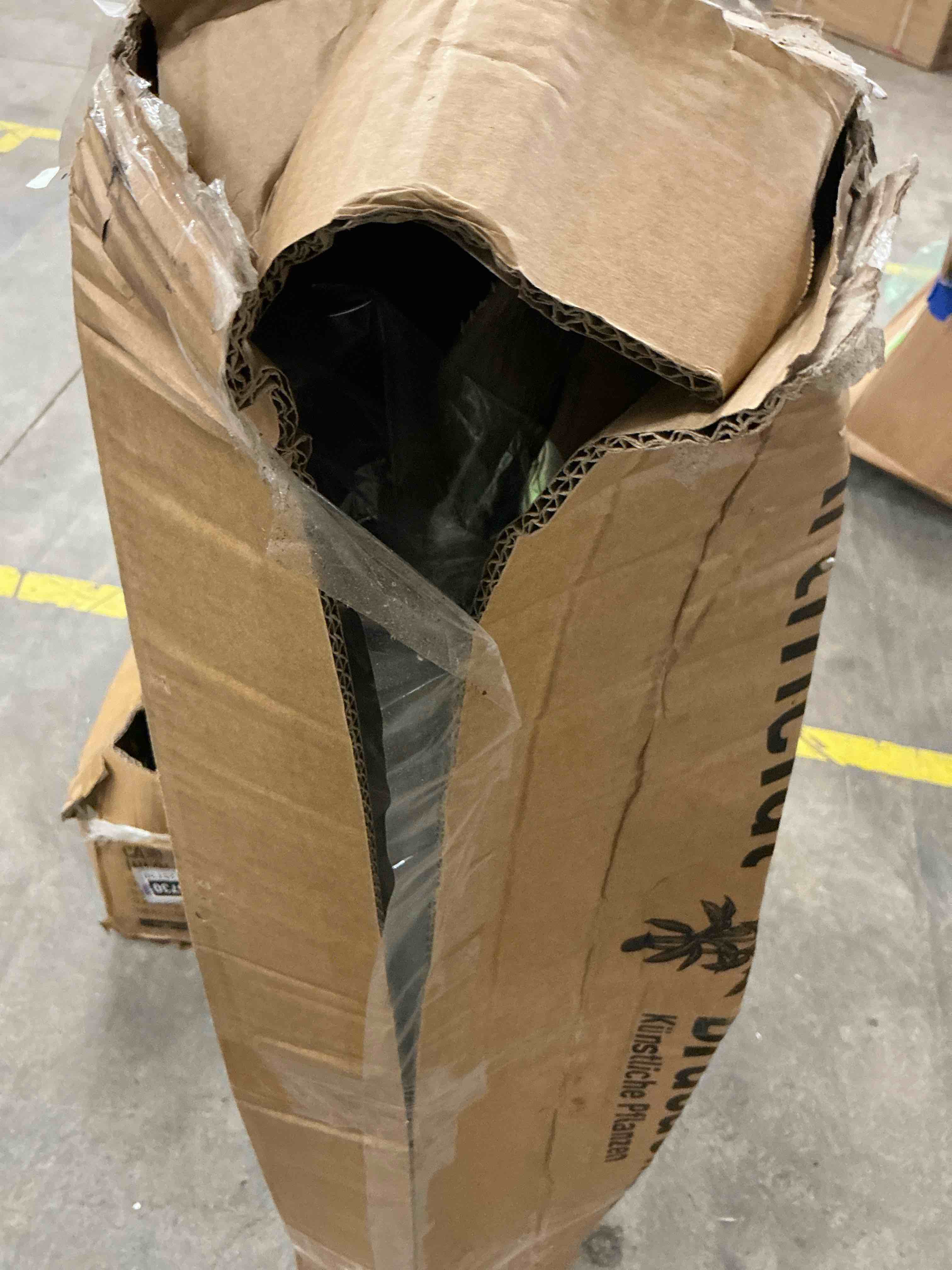 https://s3.amazonaws.com/lotting-images-prod/EmanualPiazza/GRA2125731_1783448470137.jpeg