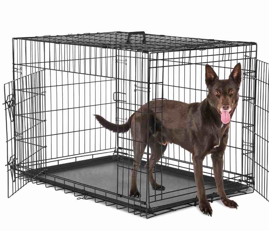 concetta 36 inch double-door folding dog crate, portable small cage with divider, leak-proof tray