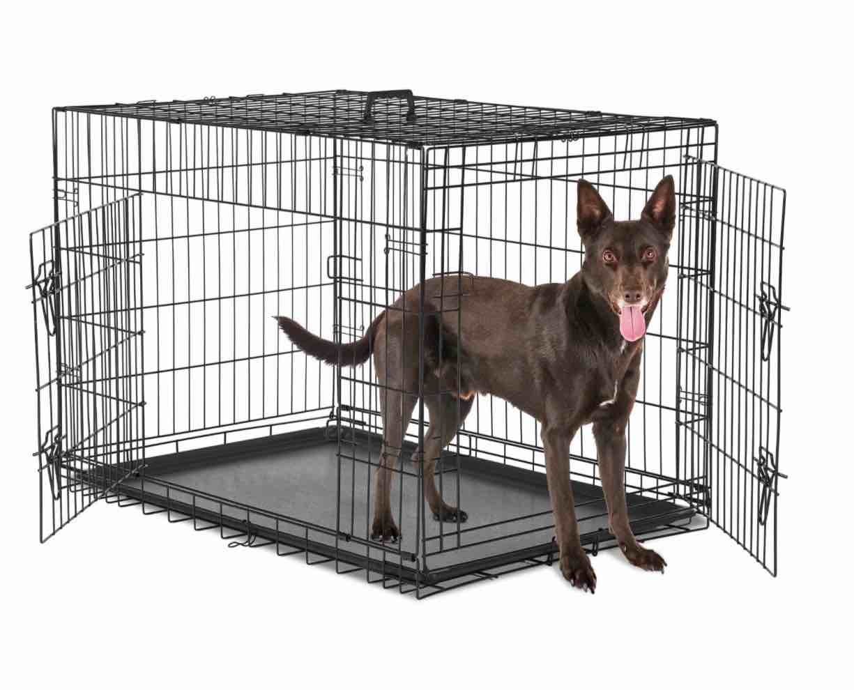 concetta 36 inch double-door folding dog crate, portable small cage with divider, leak-proof tray