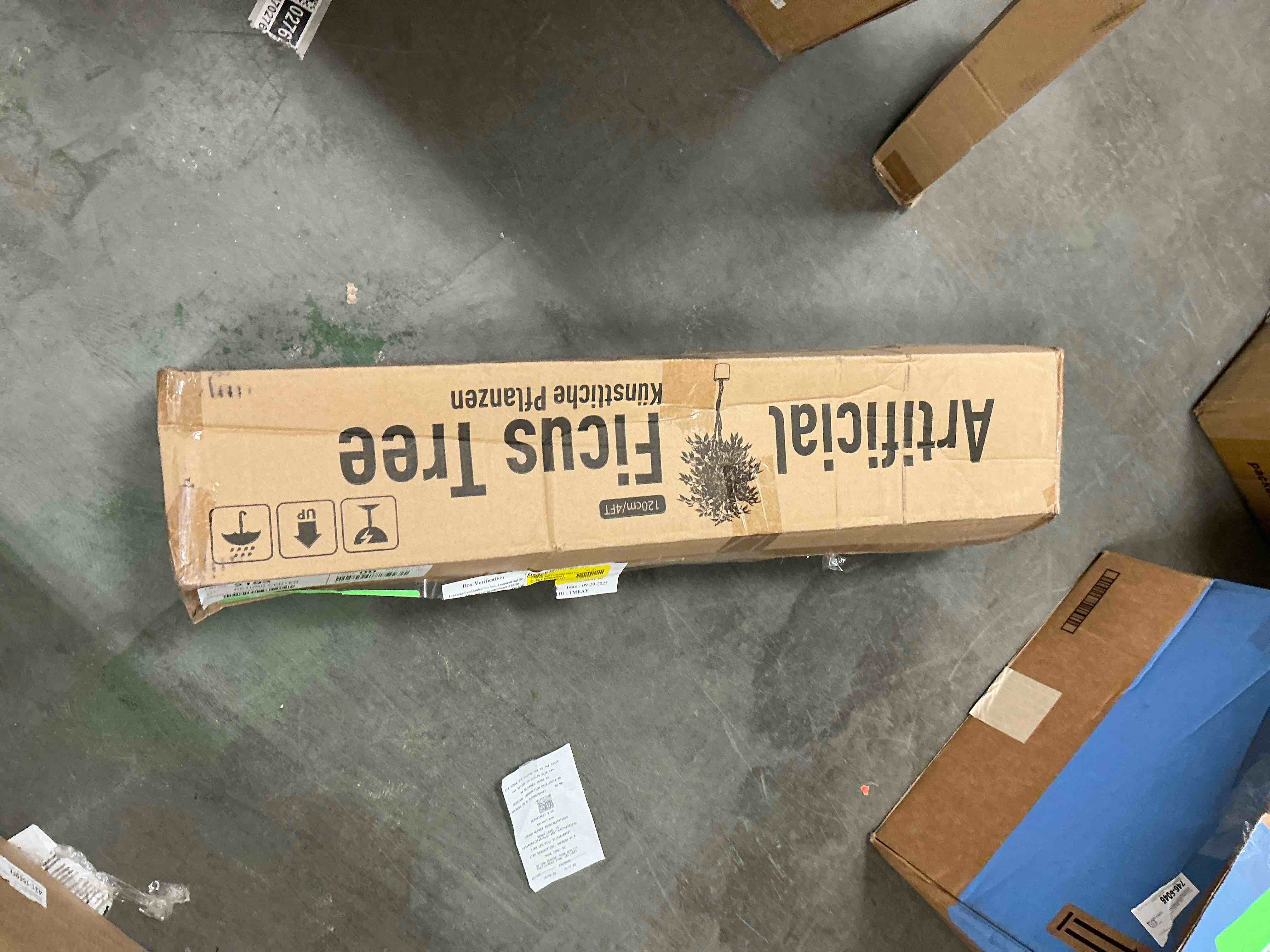 https://s3.amazonaws.com/lotting-images-prod/EmanualPiazza/GRA3460712_1761166116528.jpeg