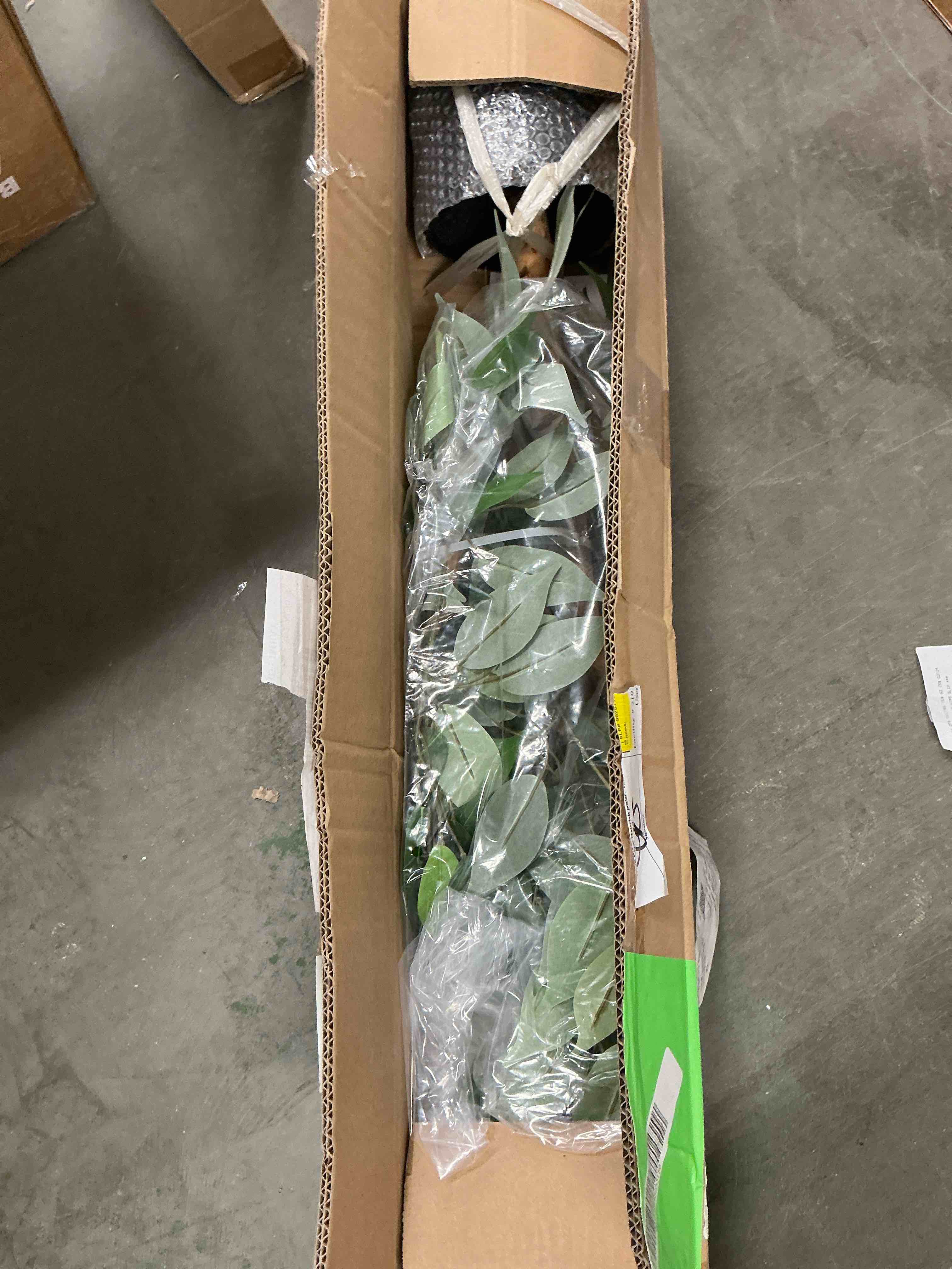 https://s3.amazonaws.com/lotting-images-prod/EmanualPiazza/GRA3460712_1761166138230.jpeg