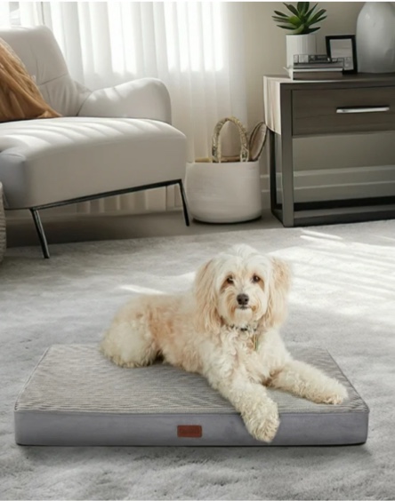Ophanie 30in Gray Orthopedic Dog Bed for Medium and Small Dogs with Non-Slip Bottom, Waterproof and Machine Washable Removable Cover,Size(30"x20"x3")