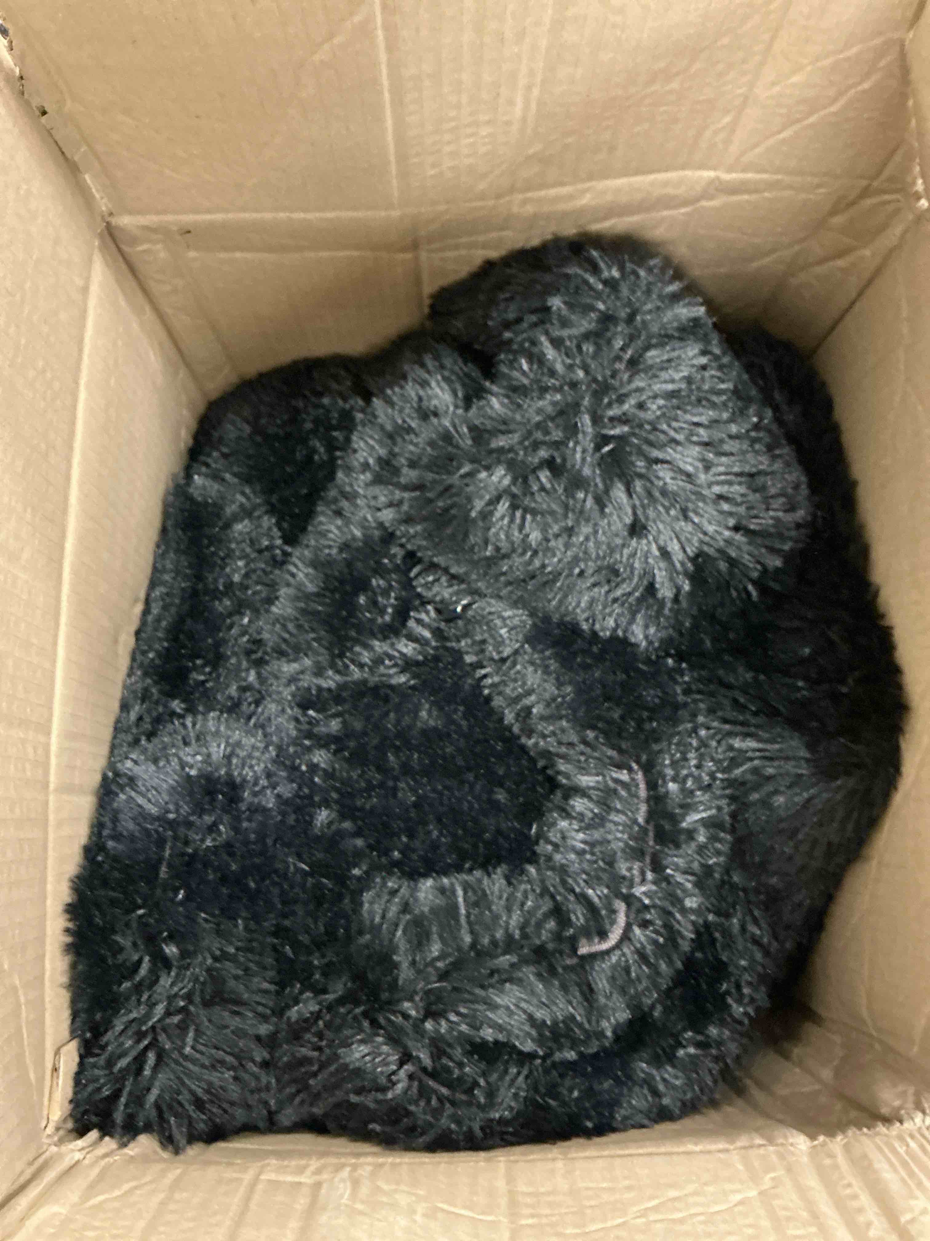 https://s3.amazonaws.com/lotting-images-prod/EmanualPiazza/GRA3460740_1761231366687.jpeg