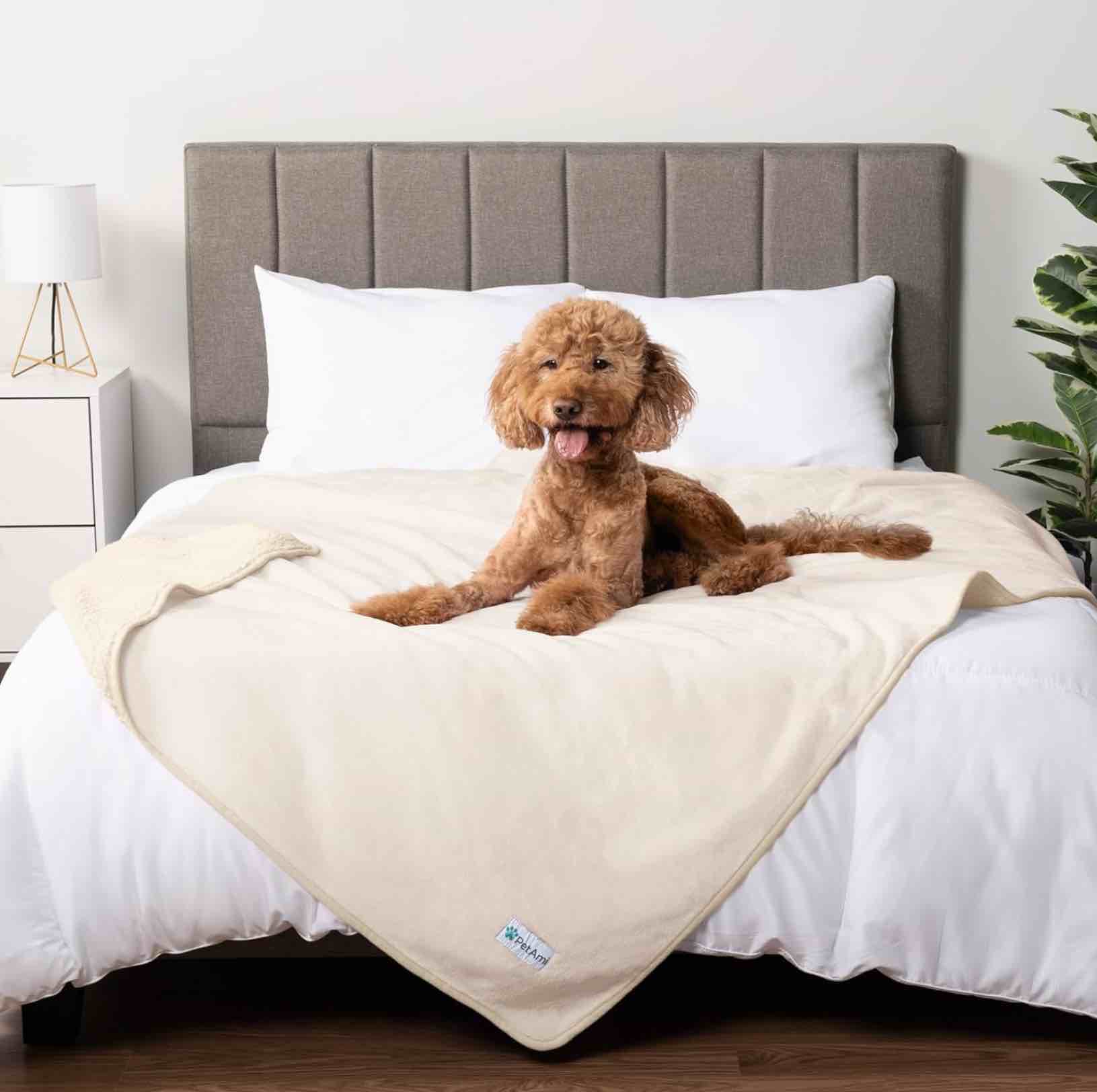 PetAmi Waterproof Dog Blanket, Leakproof XL Pet Blanket for Large Dogs, Furniture Sofa Couch Cover Protector, Fleece Cat Throw Bed Crate Kennel, Reversible Washable Soft Plush, Twin 60x80 Taupe Beige X-Large (60x80) Taupe/Beige