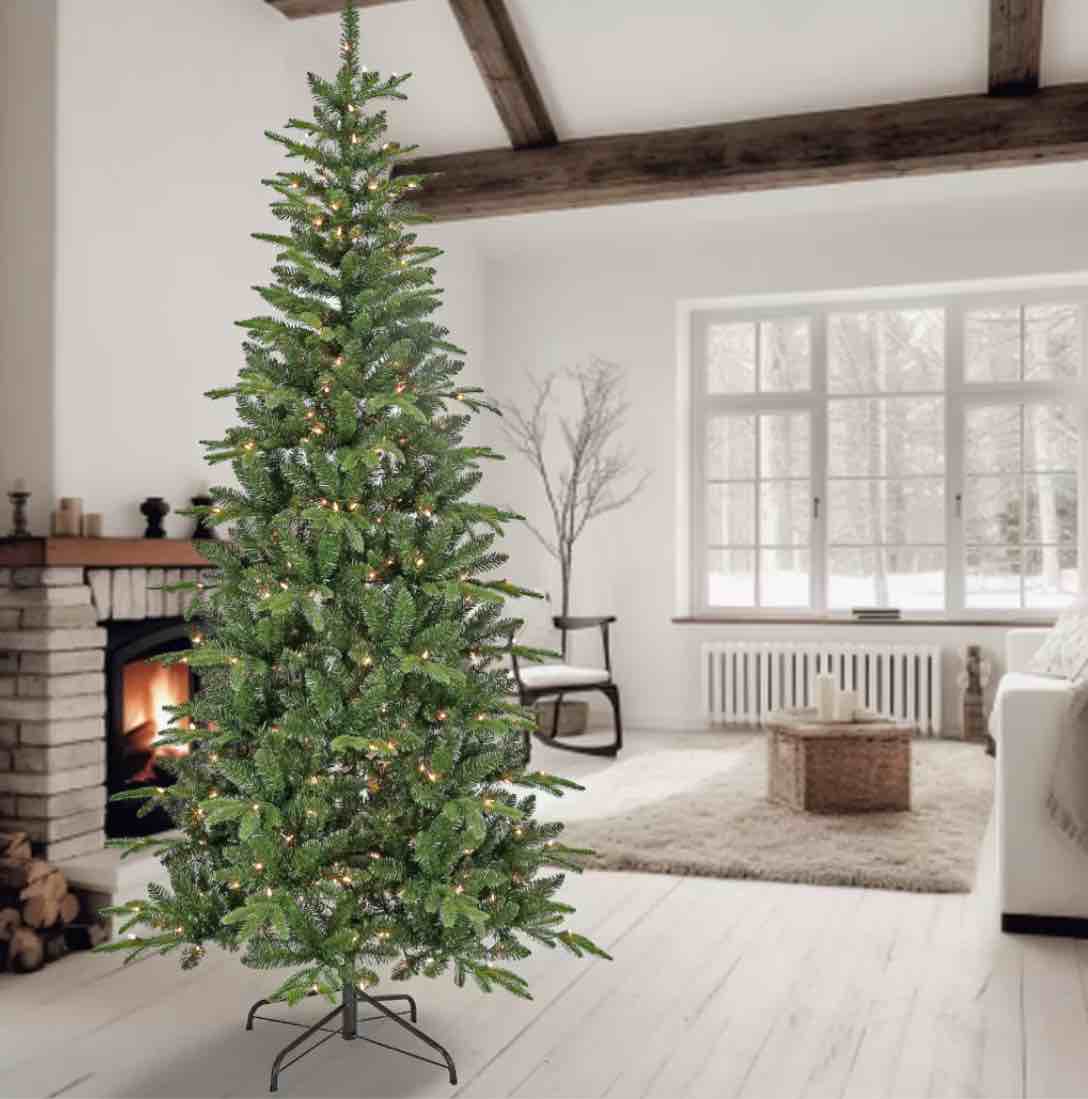 Amazing Finds In Mason!