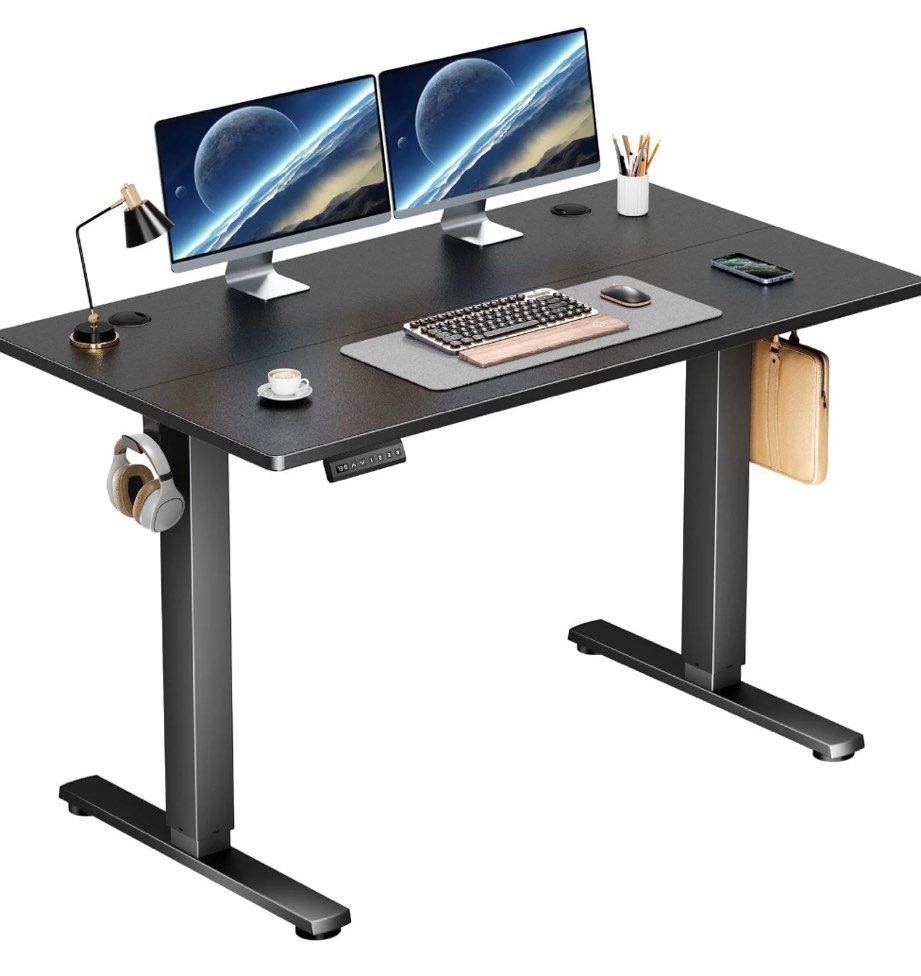 edx Electric Standing Desk, Height Adjustable Desk, 48 x 24 Inches Ergonomic Stand up Desk with Memory Preset and T-Shaped Metal Bracket for Home Office