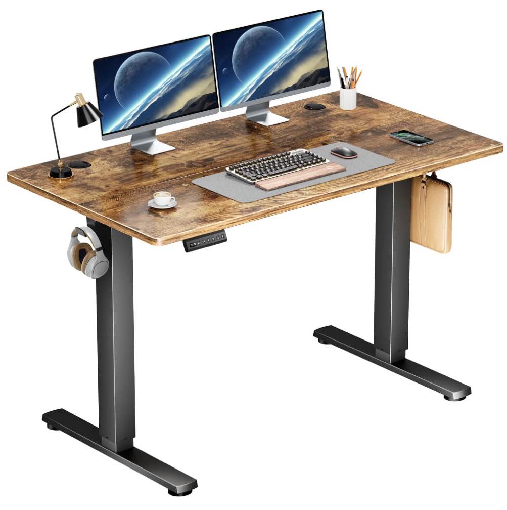 edx Electric Standing Desk, Height Adjustable Desk, 48 x 24 Inches Ergonomic Stand up Desk with Memory Preset and T-Shaped Metal Bracket for Home Office