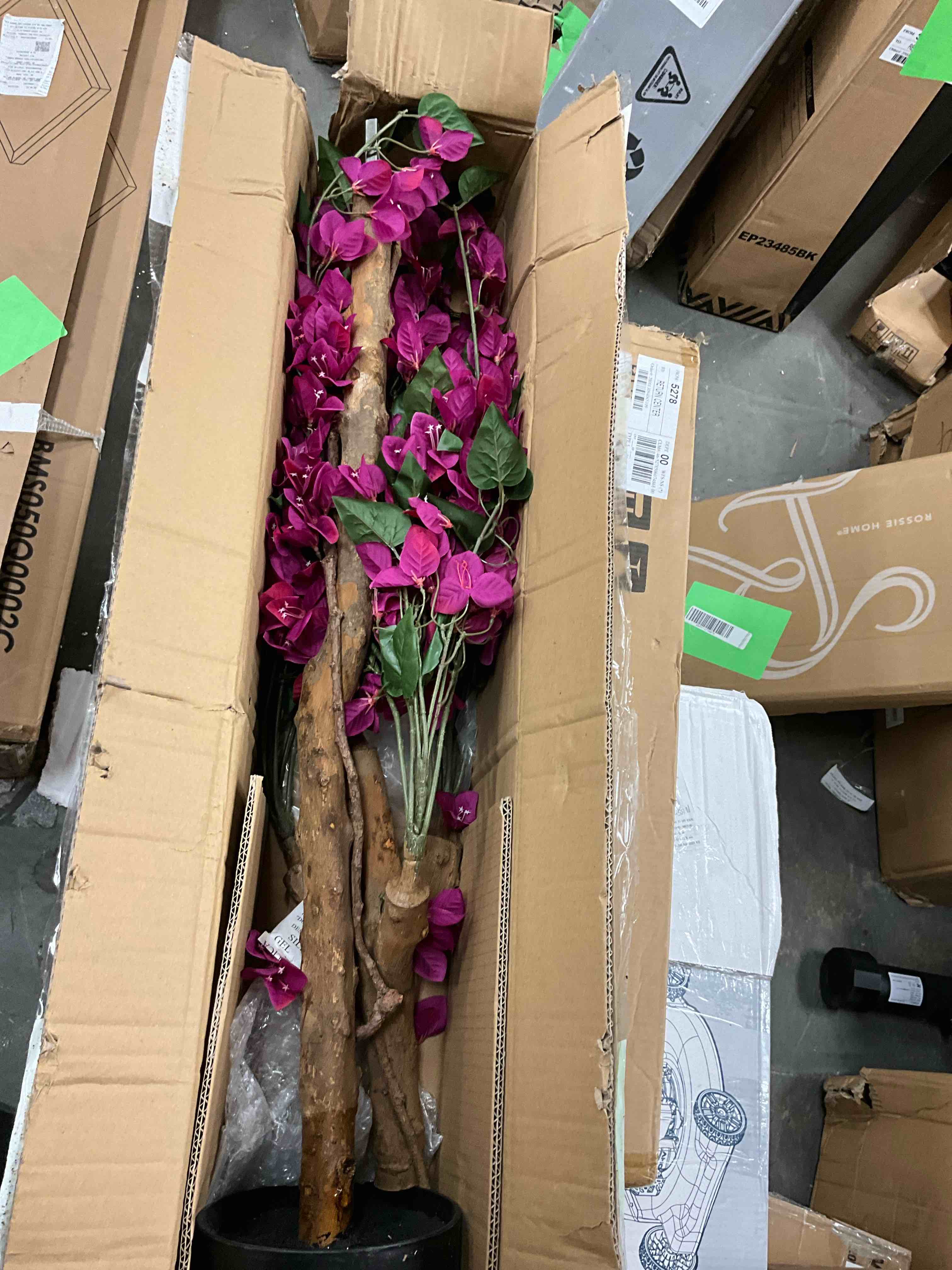 https://s3.amazonaws.com/lotting-images-prod/EmanualPiazza/GRA3463659_1750972033258.jpeg