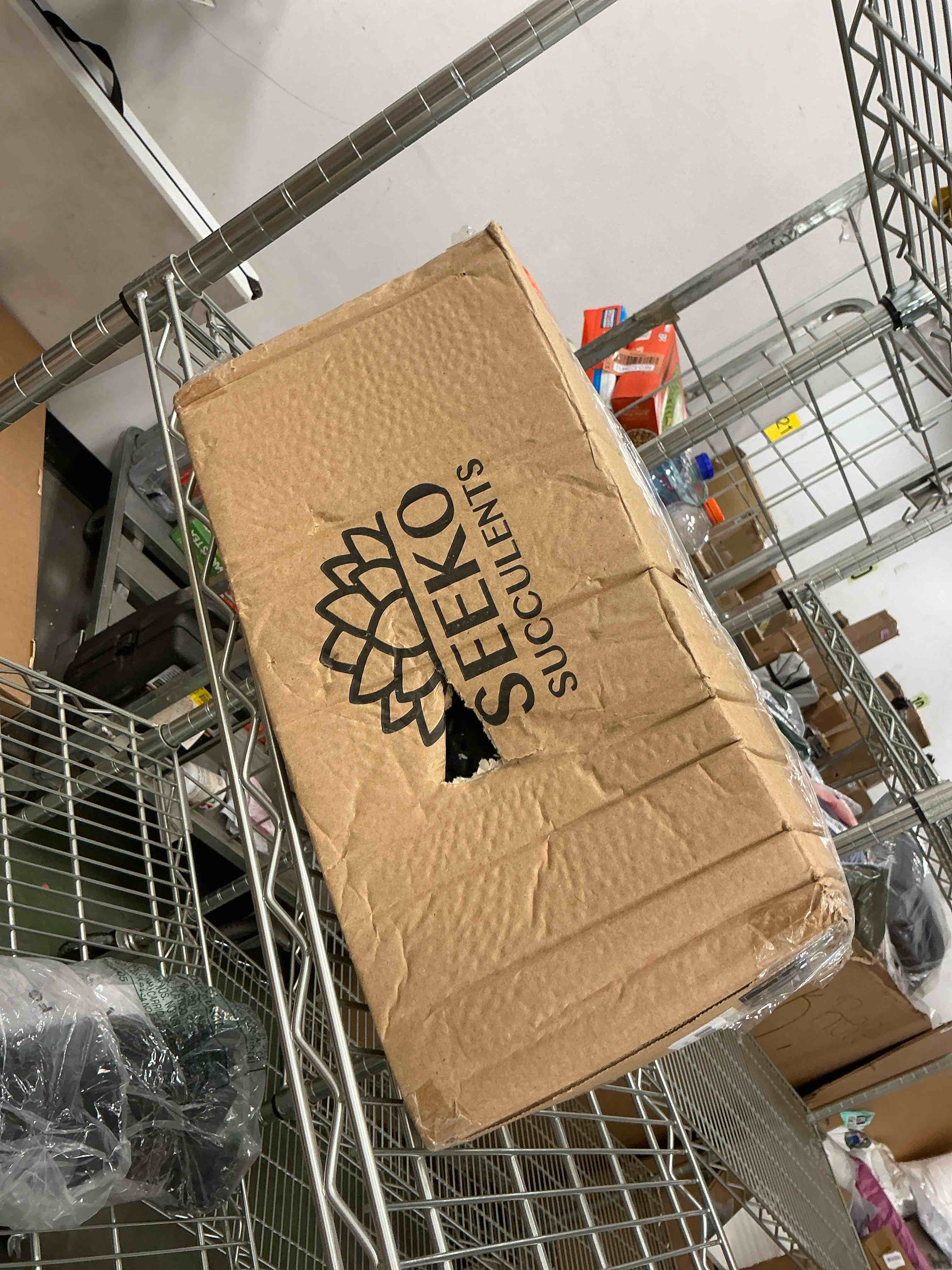 https://s3.amazonaws.com/lotting-images-prod/EmanualPiazza/GRA3464763_1752244056703.jpeg