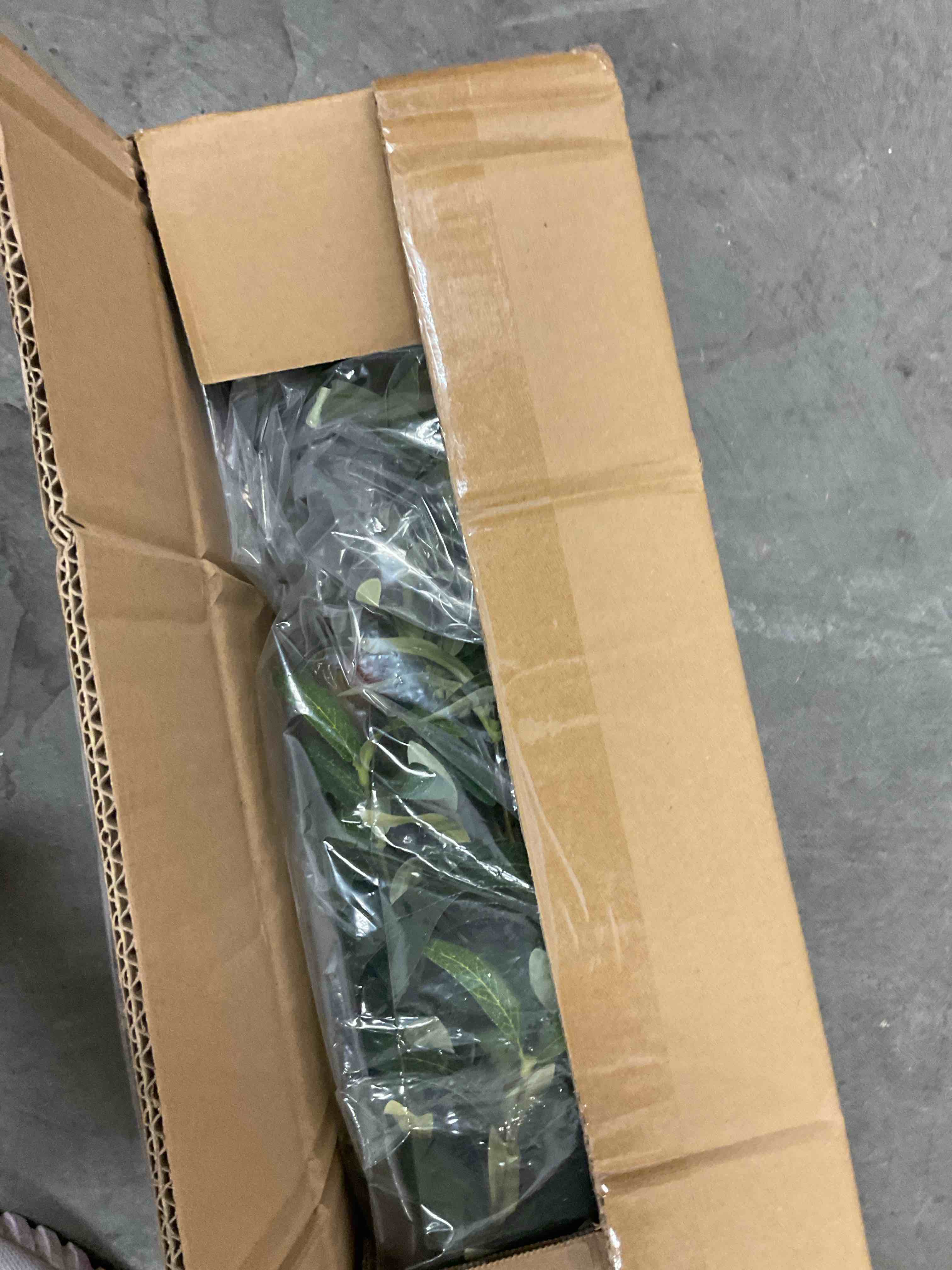 https://s3.amazonaws.com/lotting-images-prod/EmanualPiazza/GRA3464813_1752250368465.jpeg