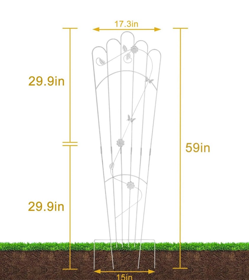 https://s3.amazonaws.com/lotting-images-prod/EmanualPiazza/GRA3465413_1753199973889.jpeg
