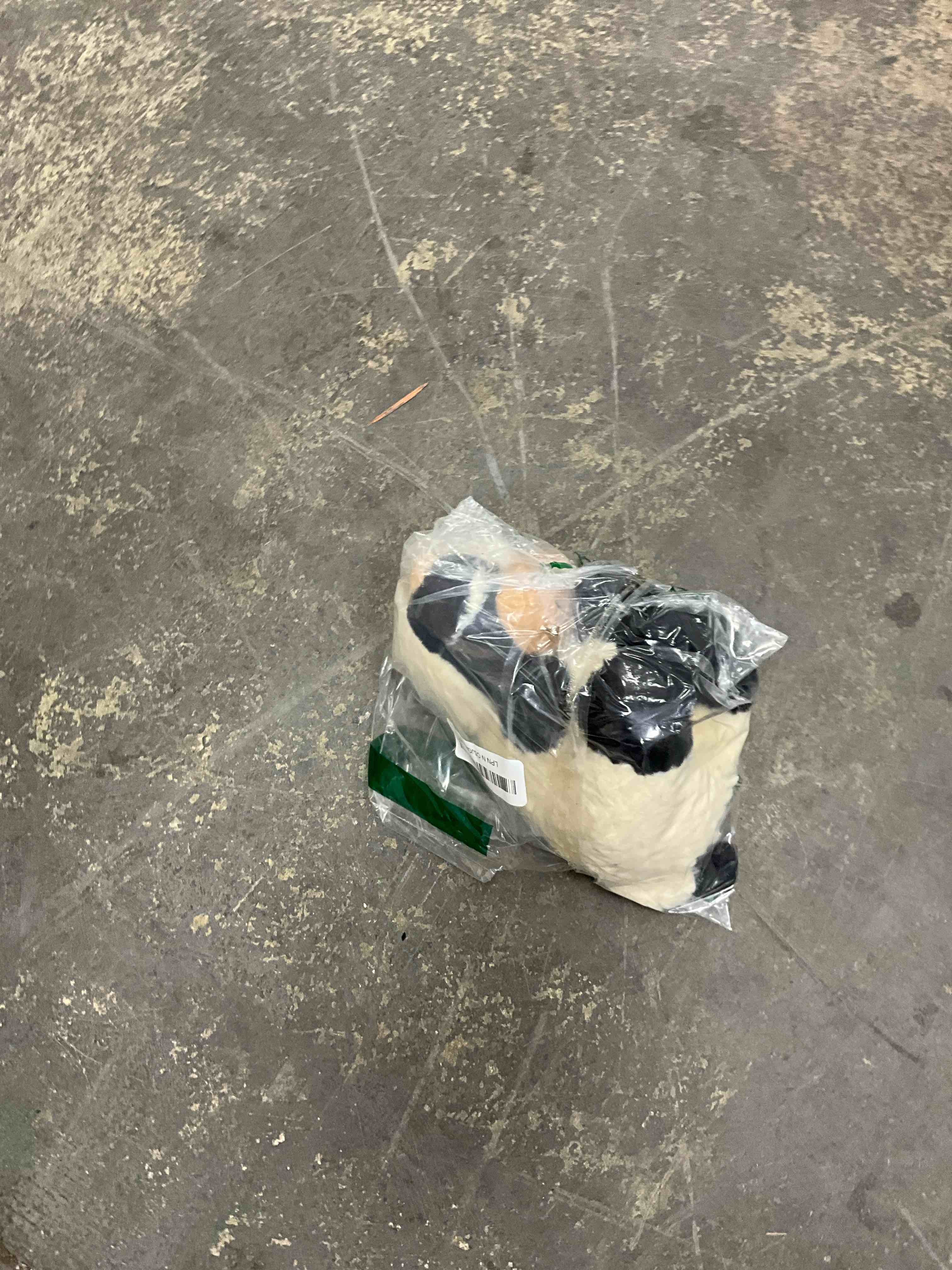 https://s3.amazonaws.com/lotting-images-prod/EmanualPiazza/GRA3465621_1753289276961.jpeg