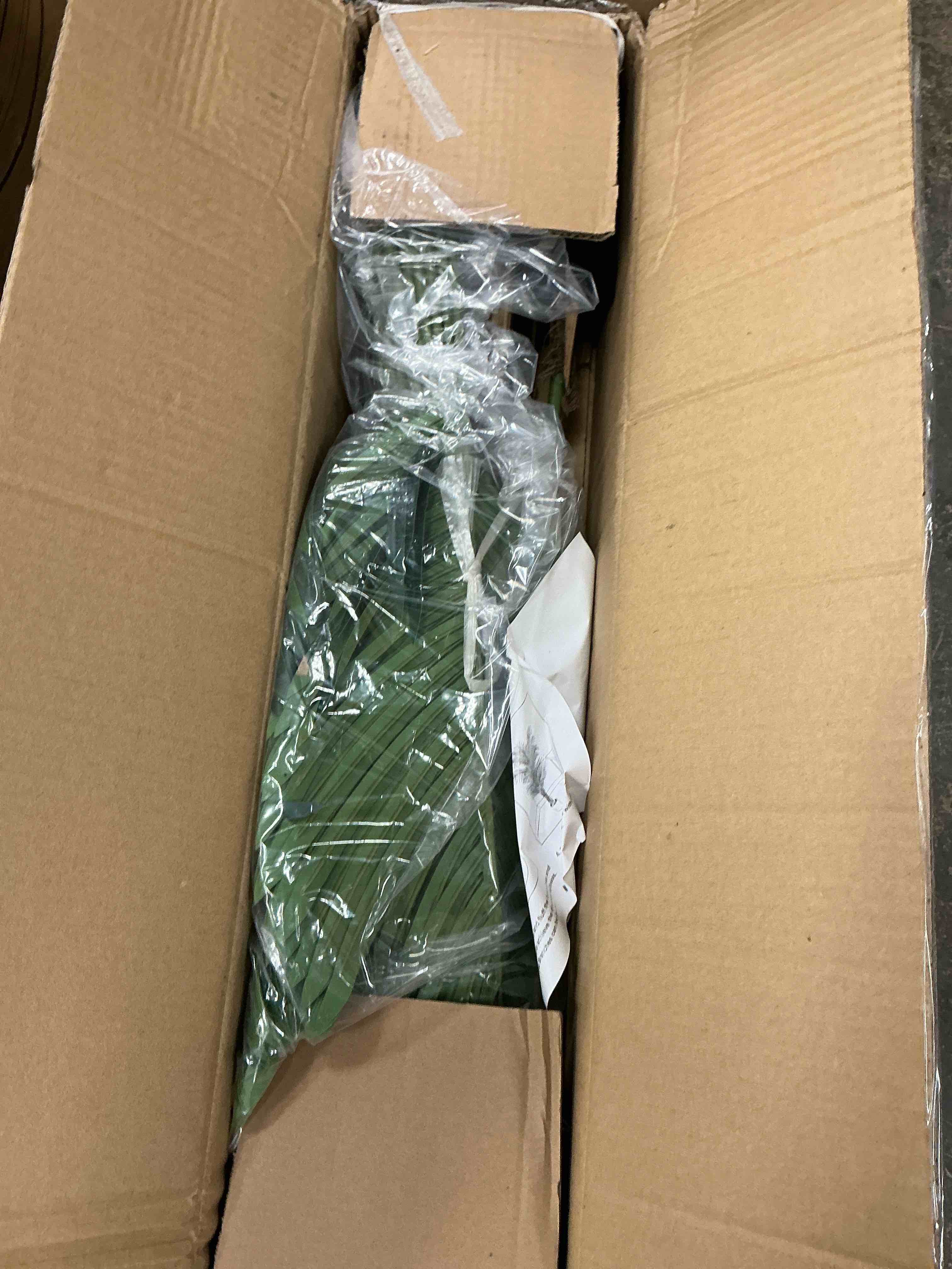 https://s3.amazonaws.com/lotting-images-prod/EmanualPiazza/GRA3465863_1753474857808.jpeg