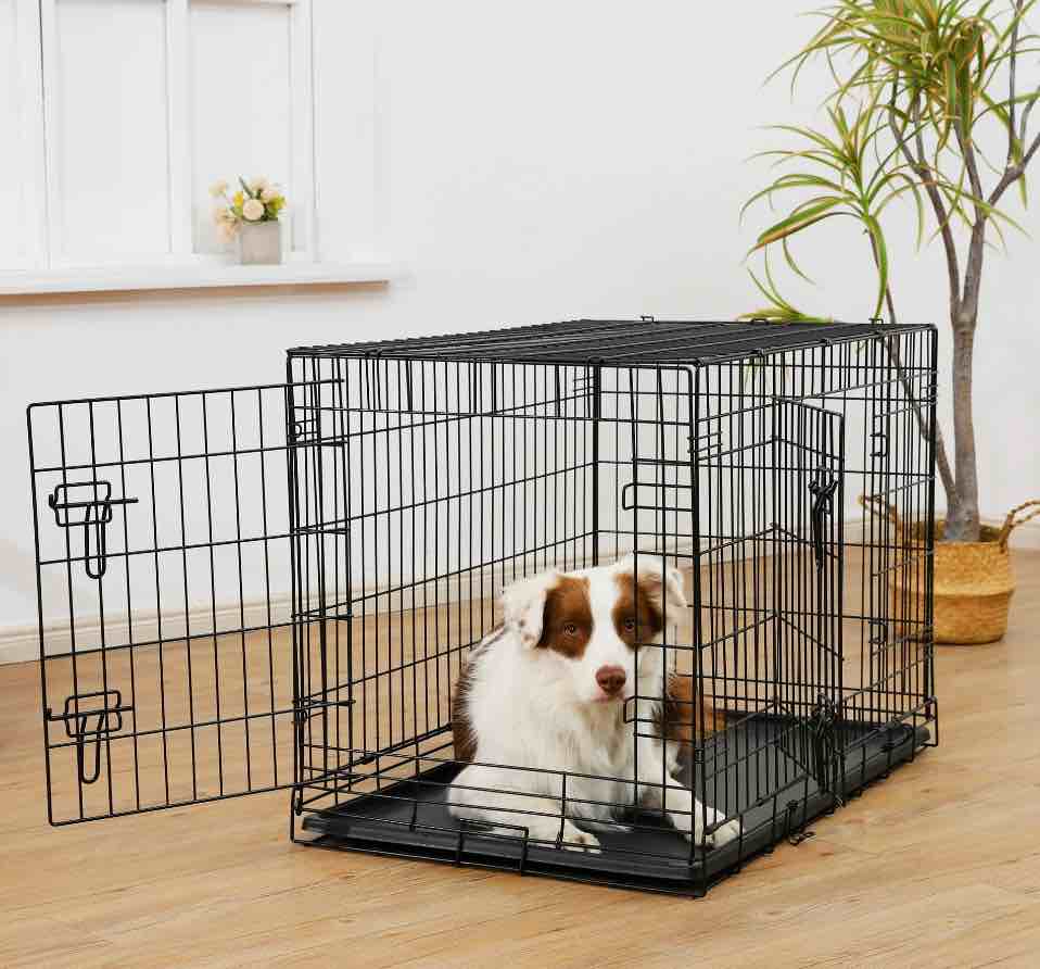 vibrant life wire dog crate, double-door, divider and leak-proof tray, metal, foldable, durable, black, 36"