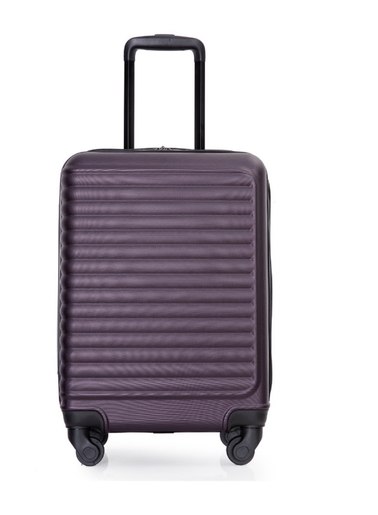 Travelhouse Hardshell Carry on Luggage 20" Lightweight Hardside Suitcase with Spinner Wheels.(Purple)