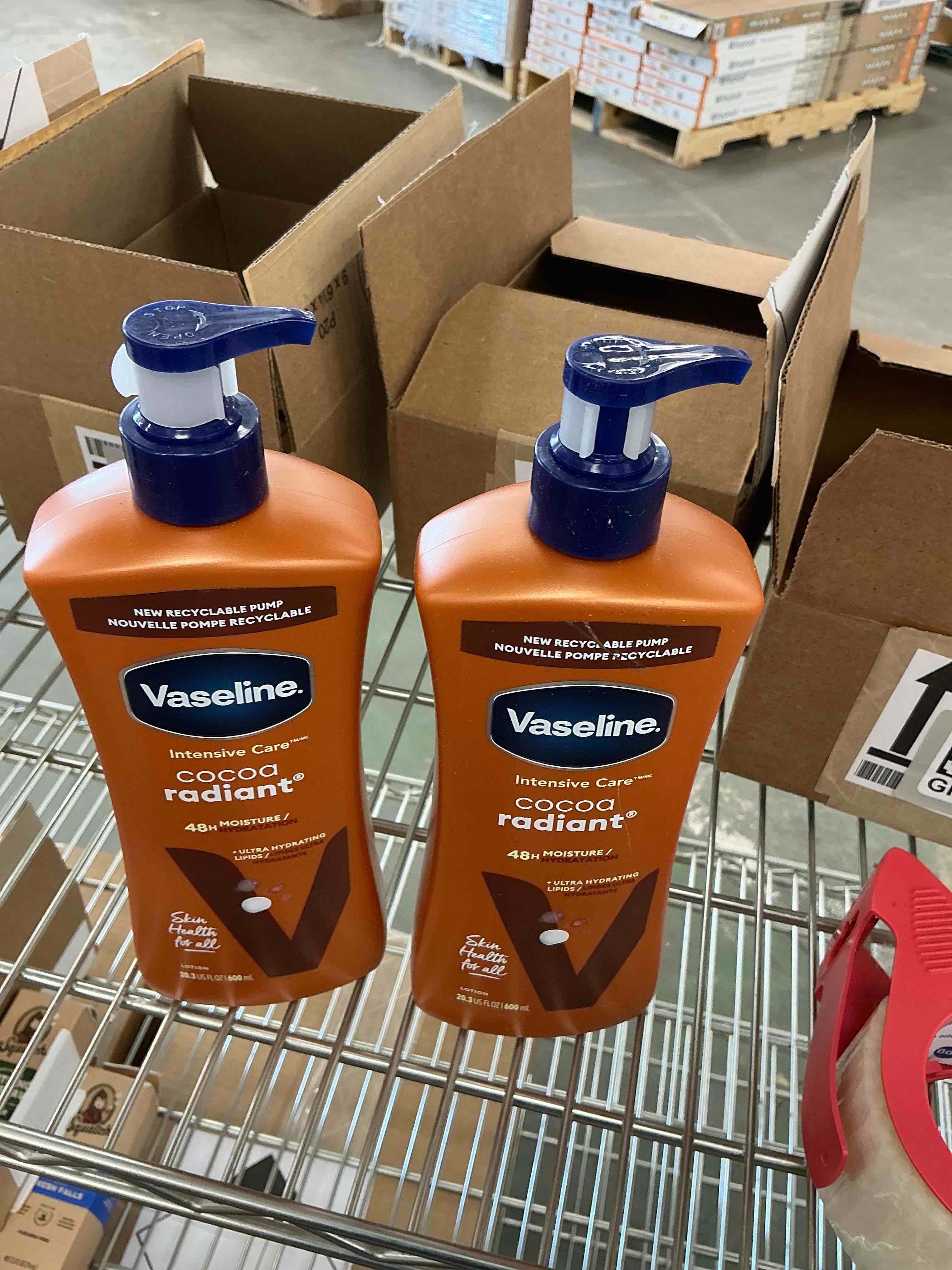 vaseline intensive care body lotion cocoa radiant for women dry skin  20.3 oz