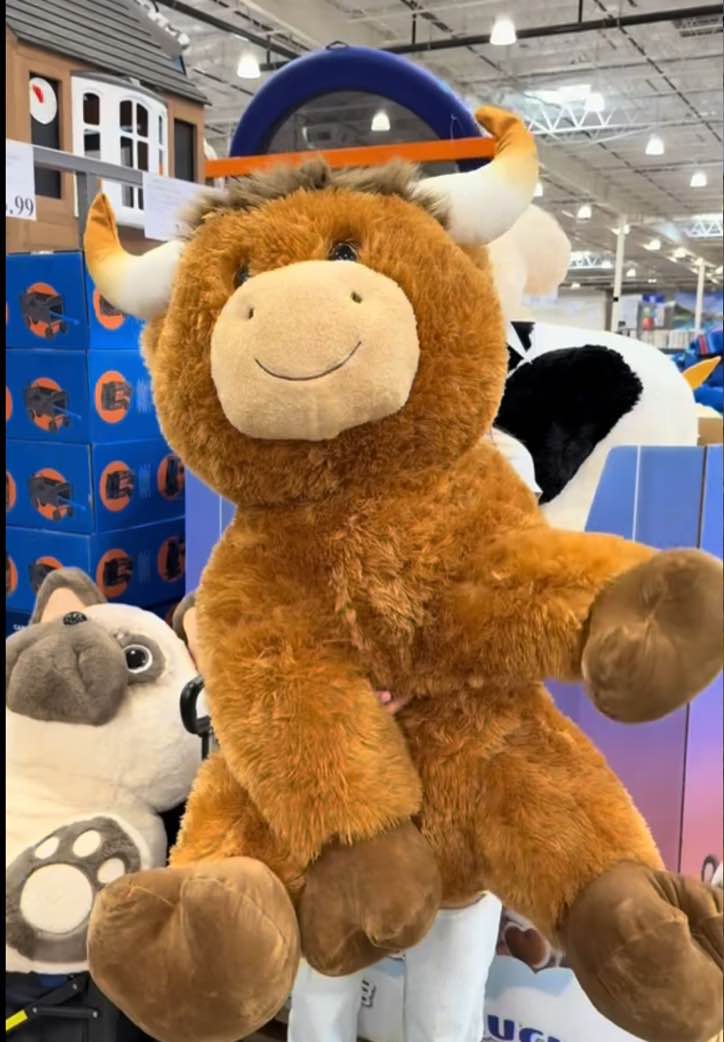 Giant Stuffed Highland Cow
