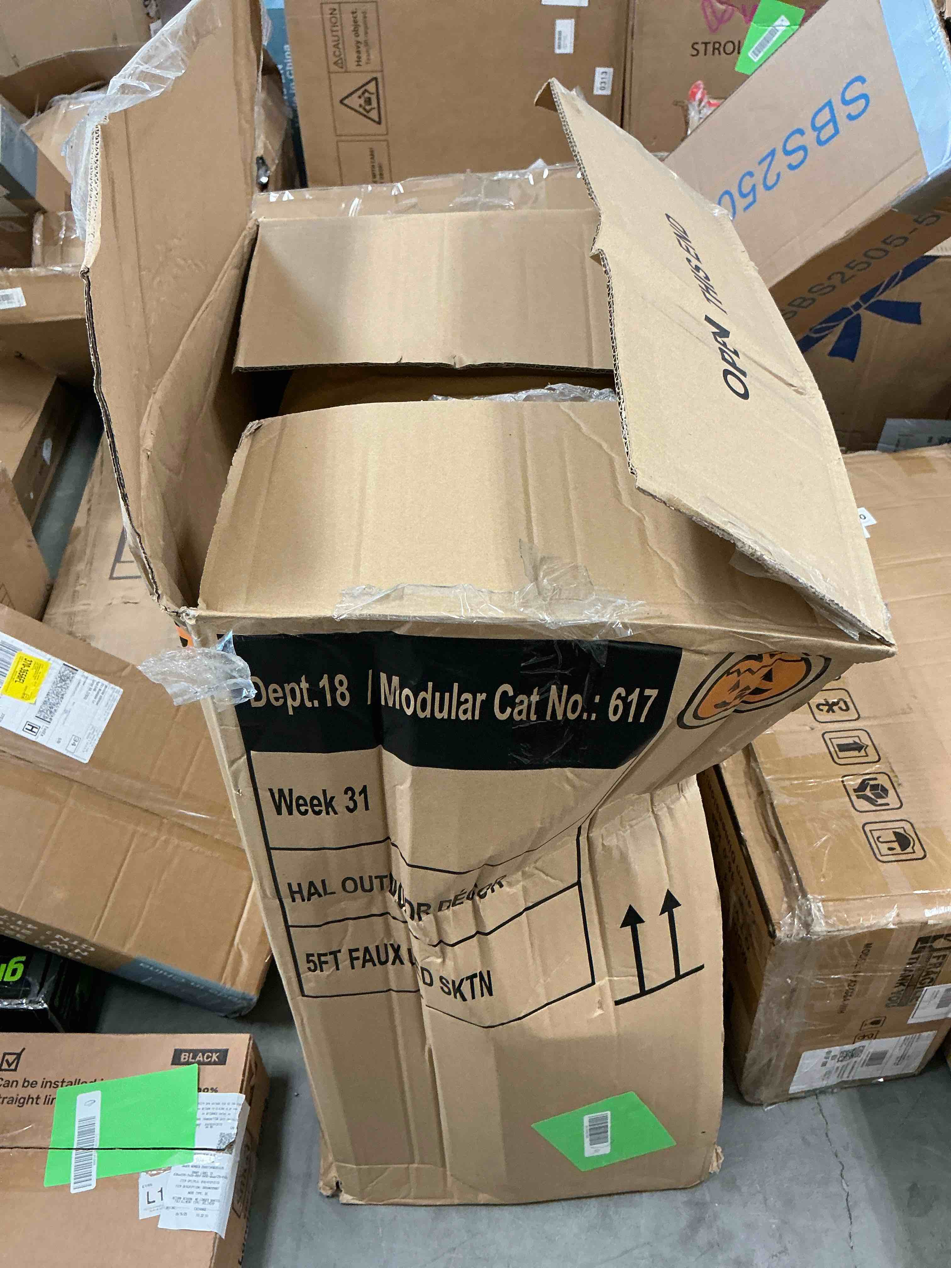 https://s3.amazonaws.com/lotting-images-prod/EmanualPiazza/GRA3467606_1759509928829.jpeg
