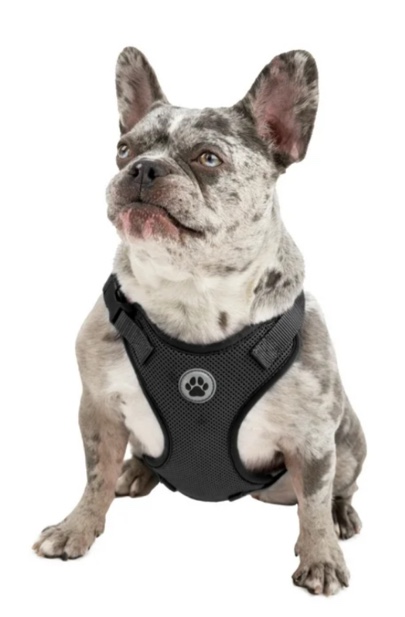 Vibrant Life Dog Harness Mesh Adjustable Reflective Dog Walking Pet Harness Black Size XS