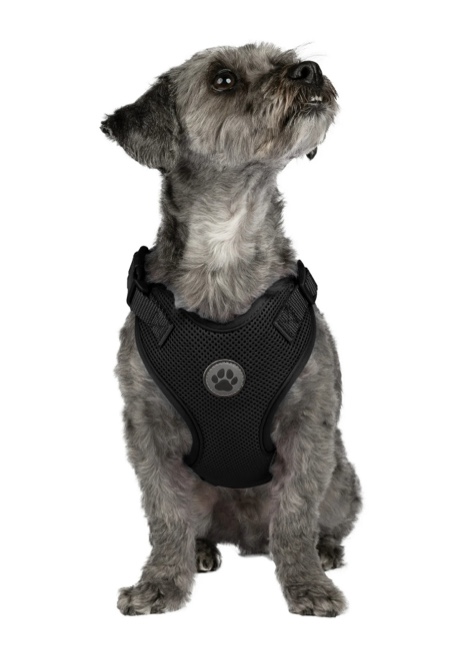 Vibrant Life Dog Harness Mesh Adjustable Reflective Dog Walking Pet Harness Black Size XS