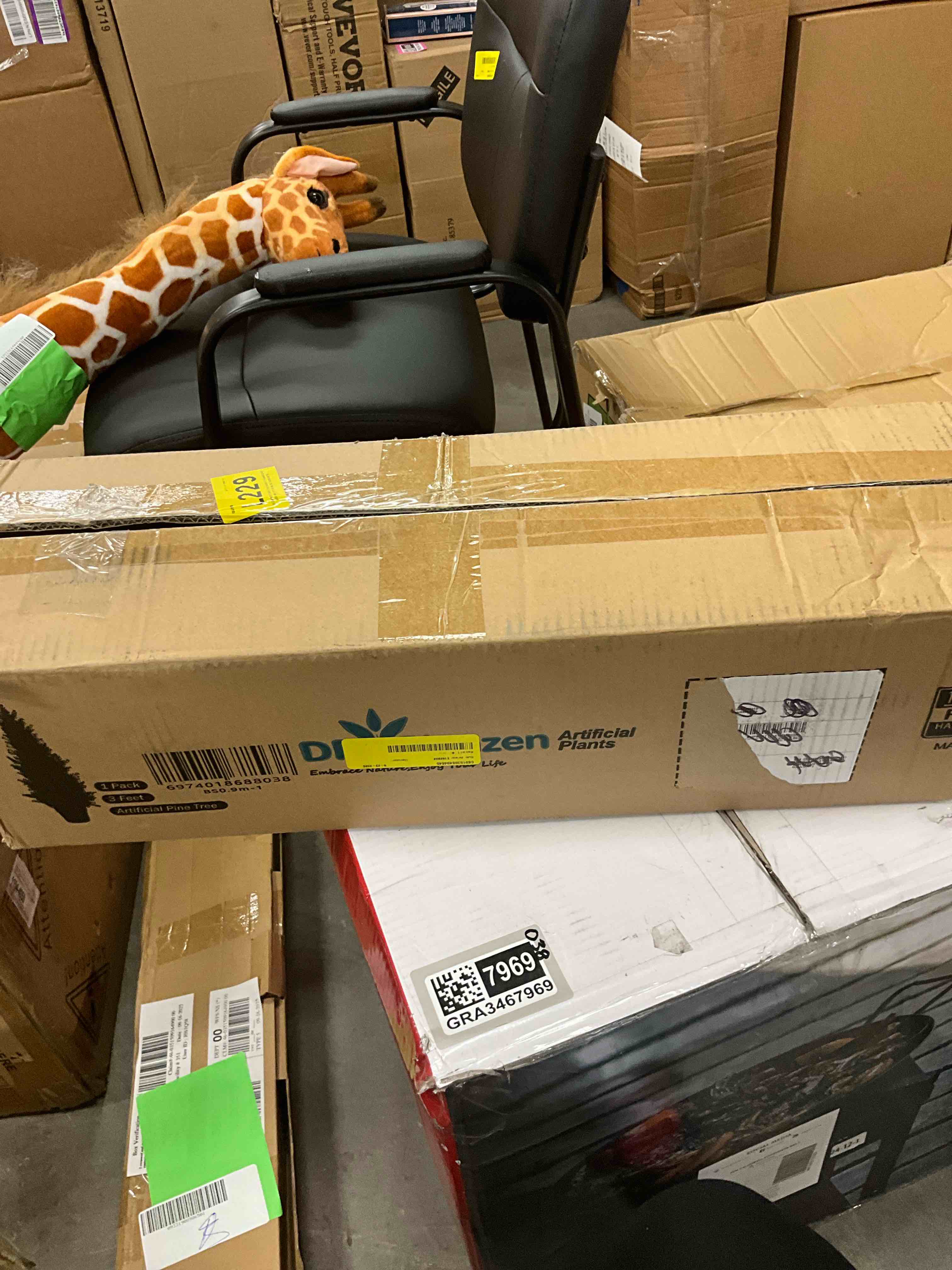https://s3.amazonaws.com/lotting-images-prod/EmanualPiazza/GRA3467968_1760027409251.jpeg