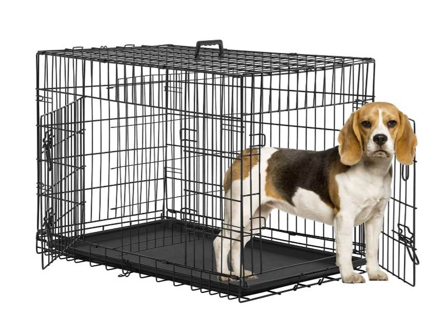 Bestpet Animal Pet Cage with Plastic Tray and Handle, 36 inches, Large