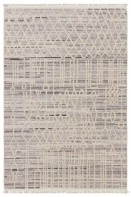 Jaipur Living Lore LRE02 Caiya Rug 5x7