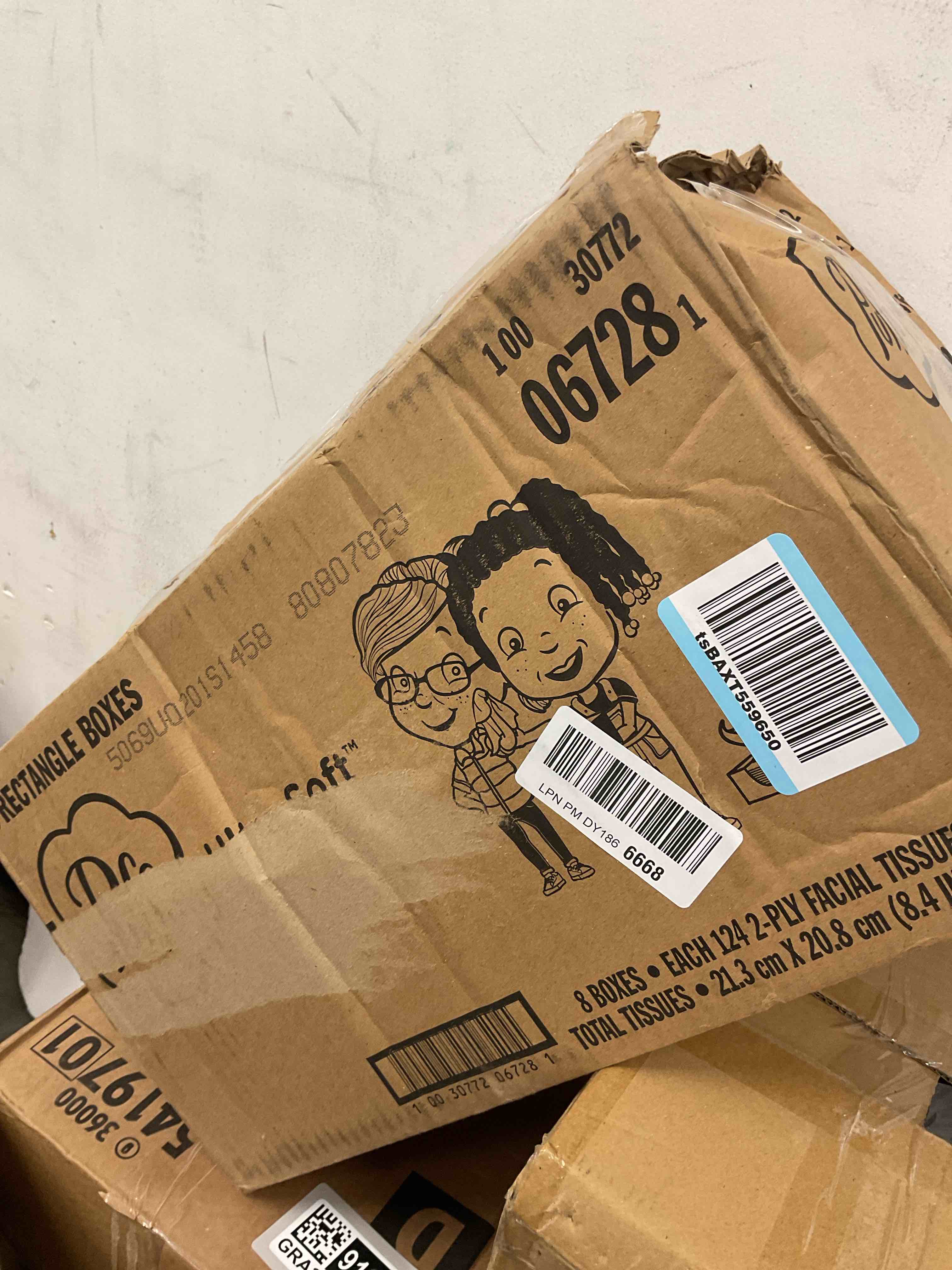 https://s3.amazonaws.com/lotting-images-prod/EmanualPiazza/GRA3469123_1753882849543.jpeg
