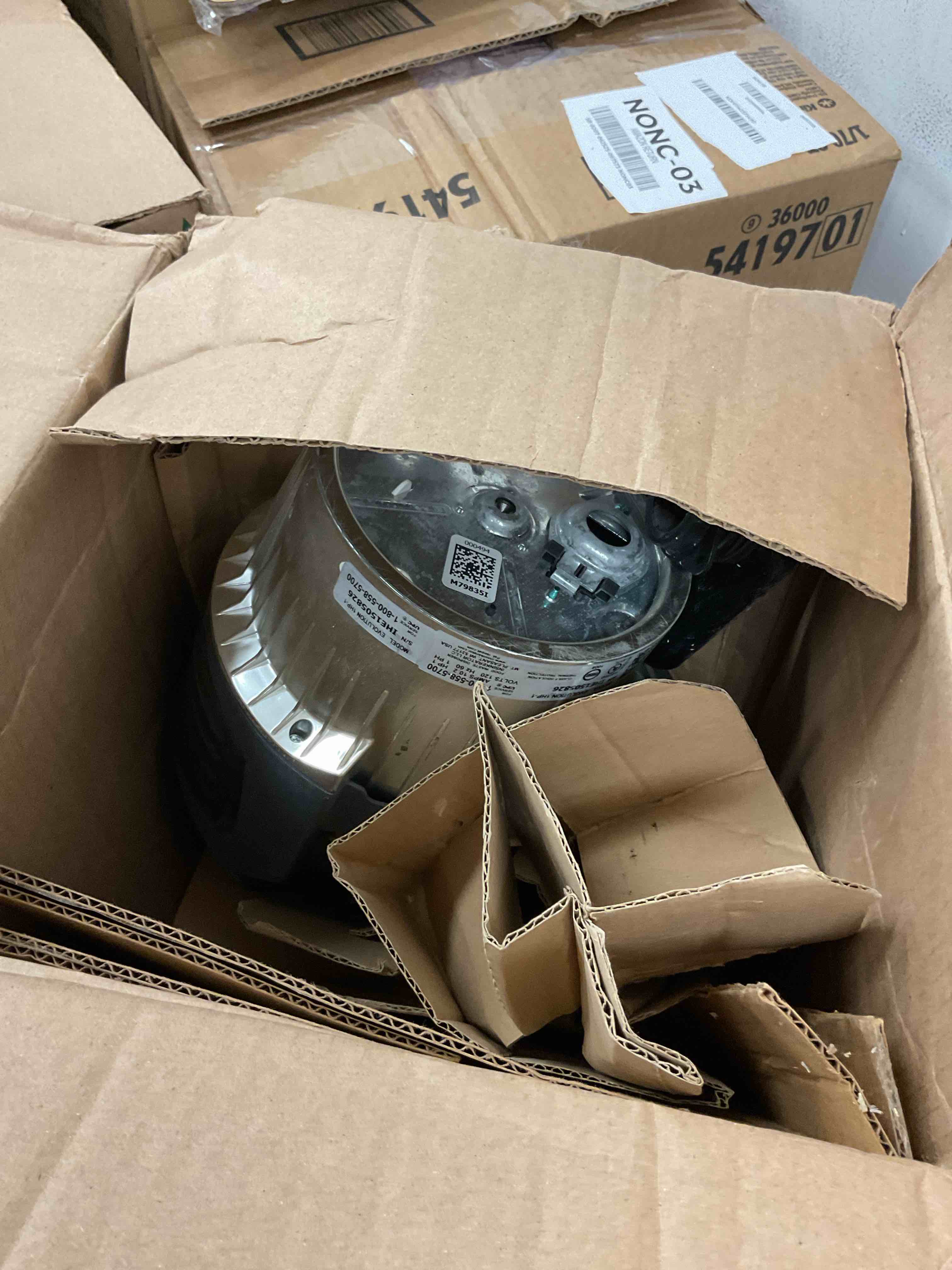 https://s3.amazonaws.com/lotting-images-prod/EmanualPiazza/GRA3469127_1753882466012.jpeg