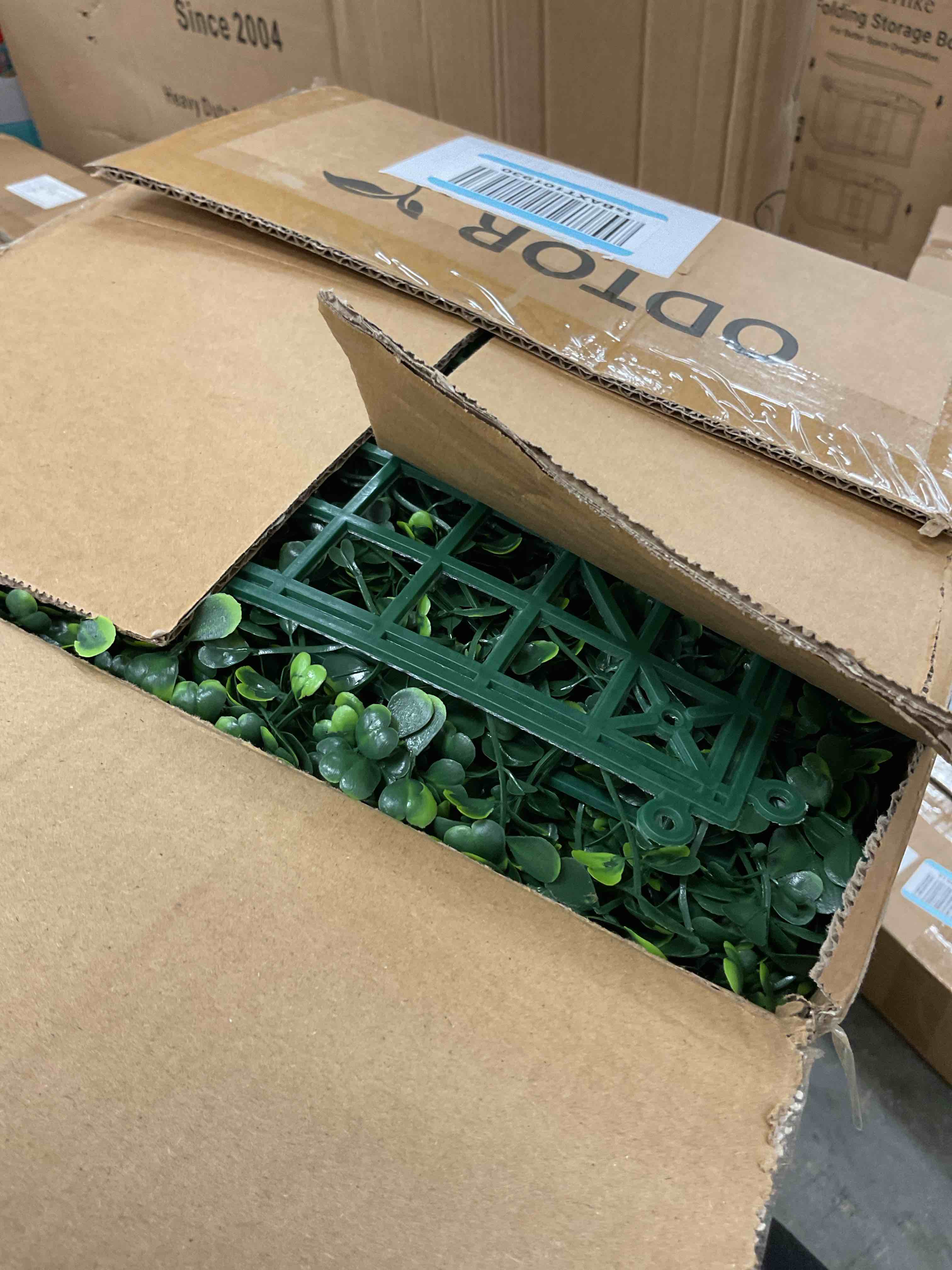 https://s3.amazonaws.com/lotting-images-prod/EmanualPiazza/GRA3469132_1753882204205.jpeg