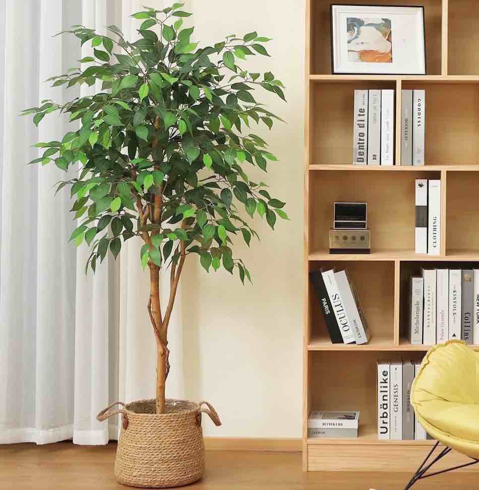 DR.Planzen 5 feet Artificial Ficus Tree, Tall Lifelike Greenery with Natural Wood Trunk for Living Room, office floor and corner decor