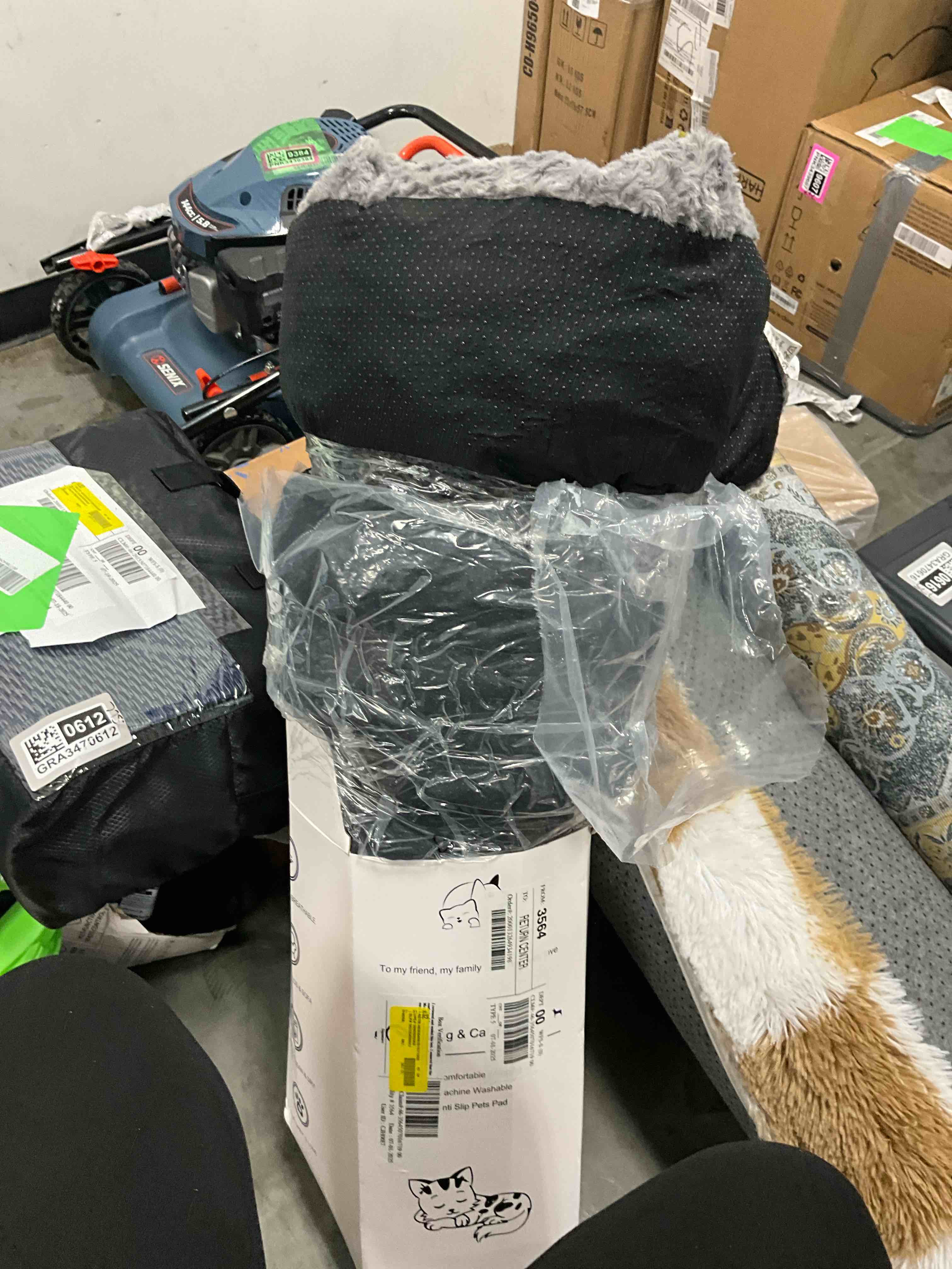 https://s3.amazonaws.com/lotting-images-prod/EmanualPiazza/GRA3470611_1755359072750.jpeg