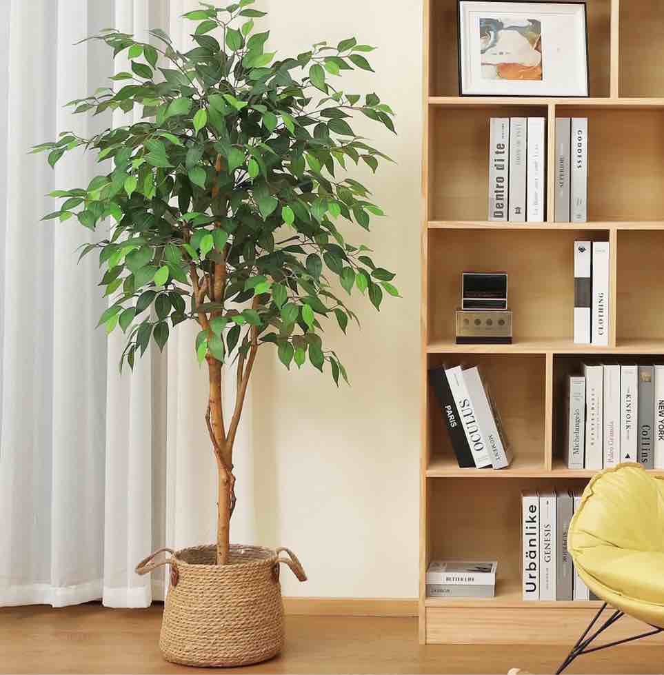 dr.planzen 5 feet artificial ficus tree, tall lifelike greenery with natural wood trunk for living room, office floor and corner decor