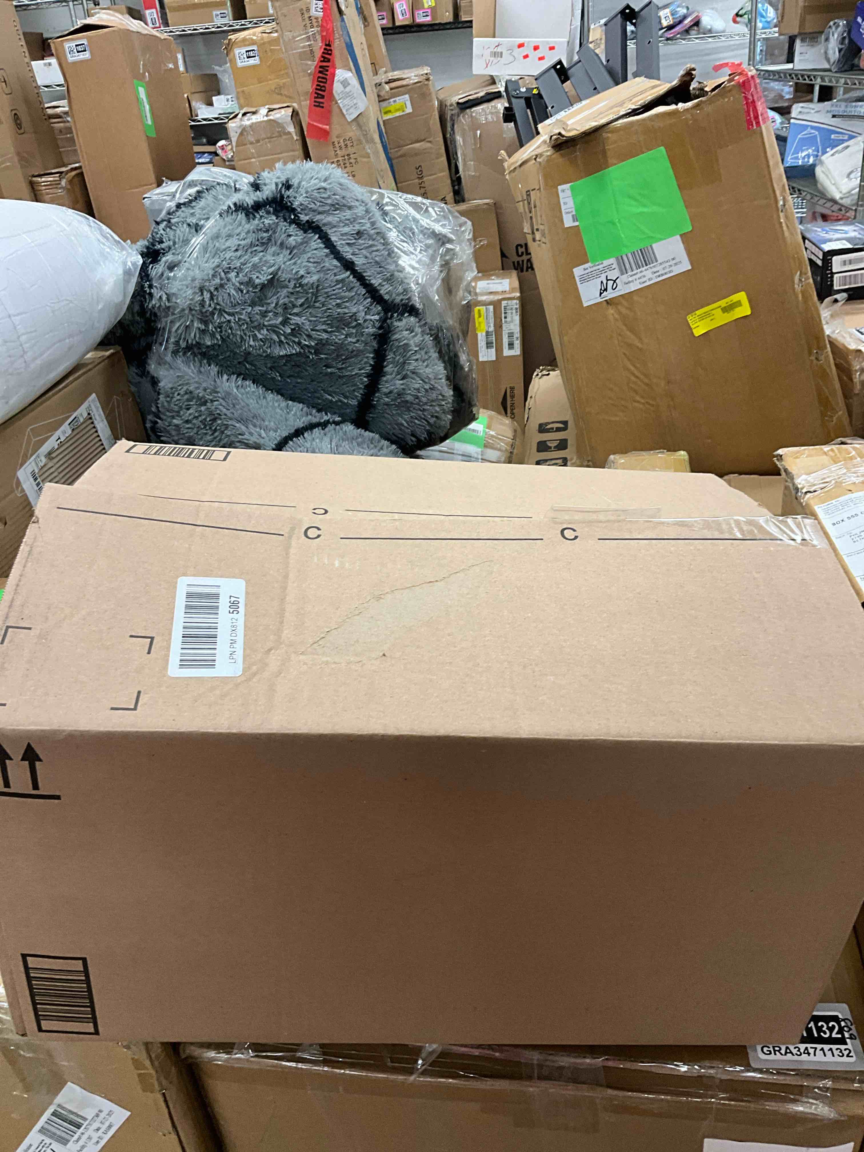 https://s3.amazonaws.com/lotting-images-prod/EmanualPiazza/GRA3471388_1756215588869.jpeg