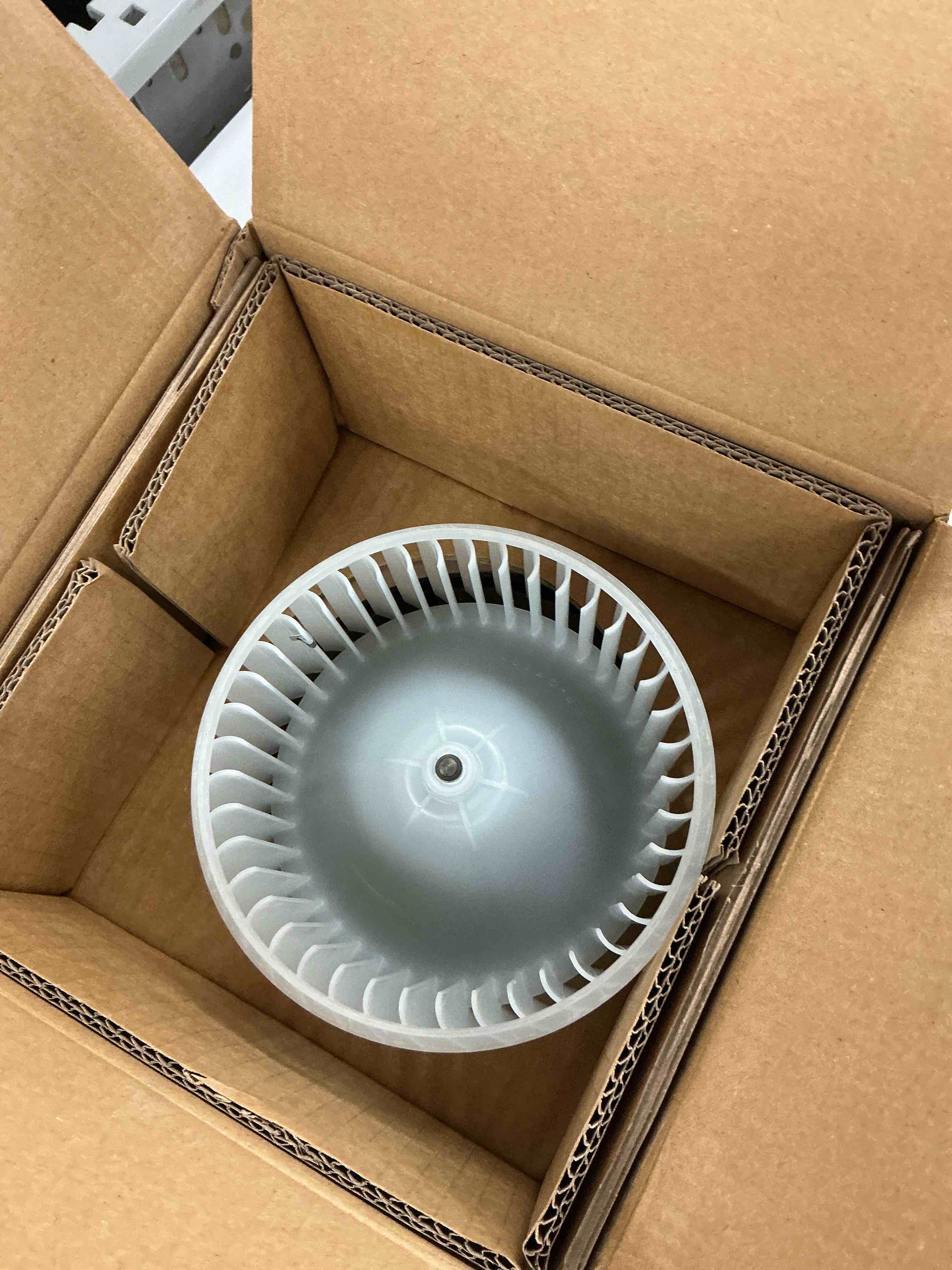 https://s3.amazonaws.com/lotting-images-prod/EmanualPiazza/GRA3827062_1775751085758.jpeg