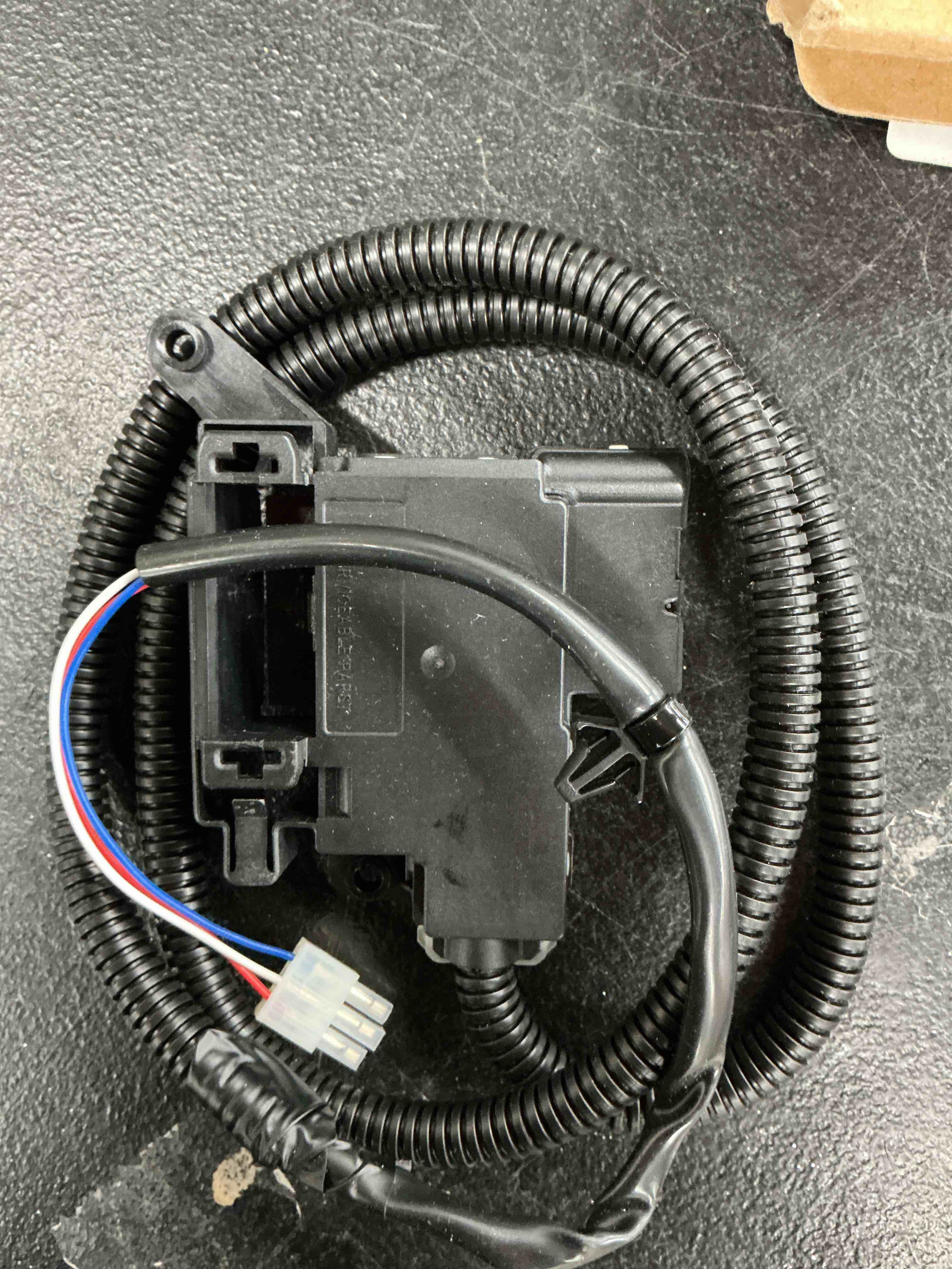 https://s3.amazonaws.com/lotting-images-prod/EmanualPiazza/GRA4363284_1770669395240.jpeg