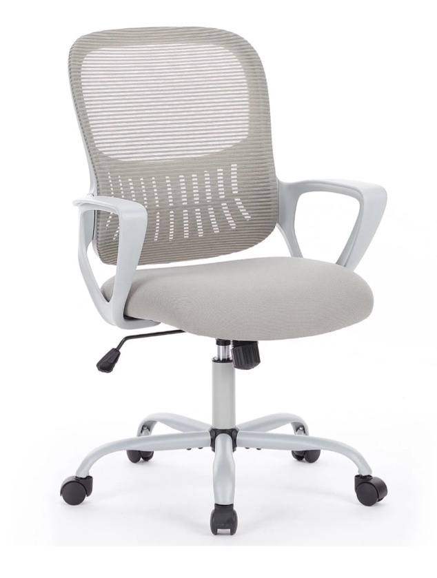 edx Desk Chair with Ergonomic Lumbar Support for Home, Office, Bedroom, 250lbs, Grey