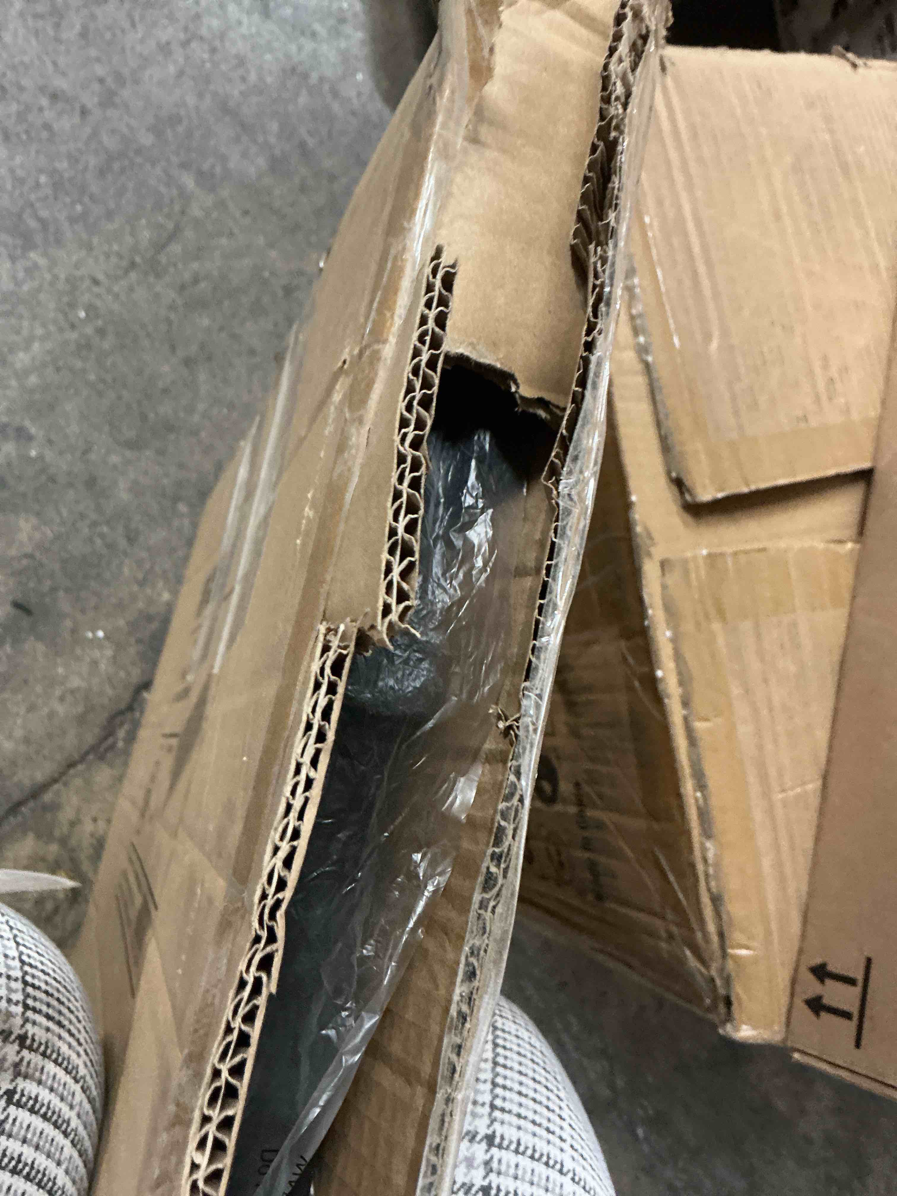 https://s3.amazonaws.com/lotting-images-prod/EmanualPiazza/GRA4372675_1774641786285.jpeg