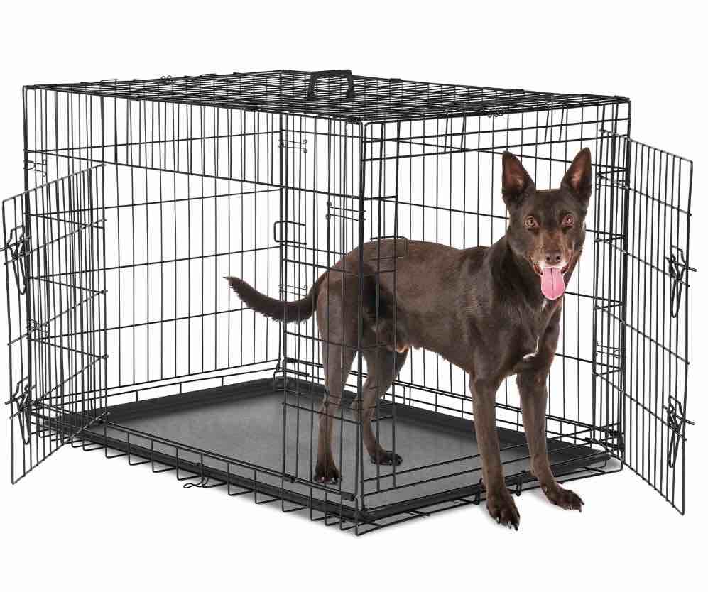 CONCETTA 36 inch Double-Door Folding Dog Crate, Portable Small Cage with Divider, Leak-Proof Tray
