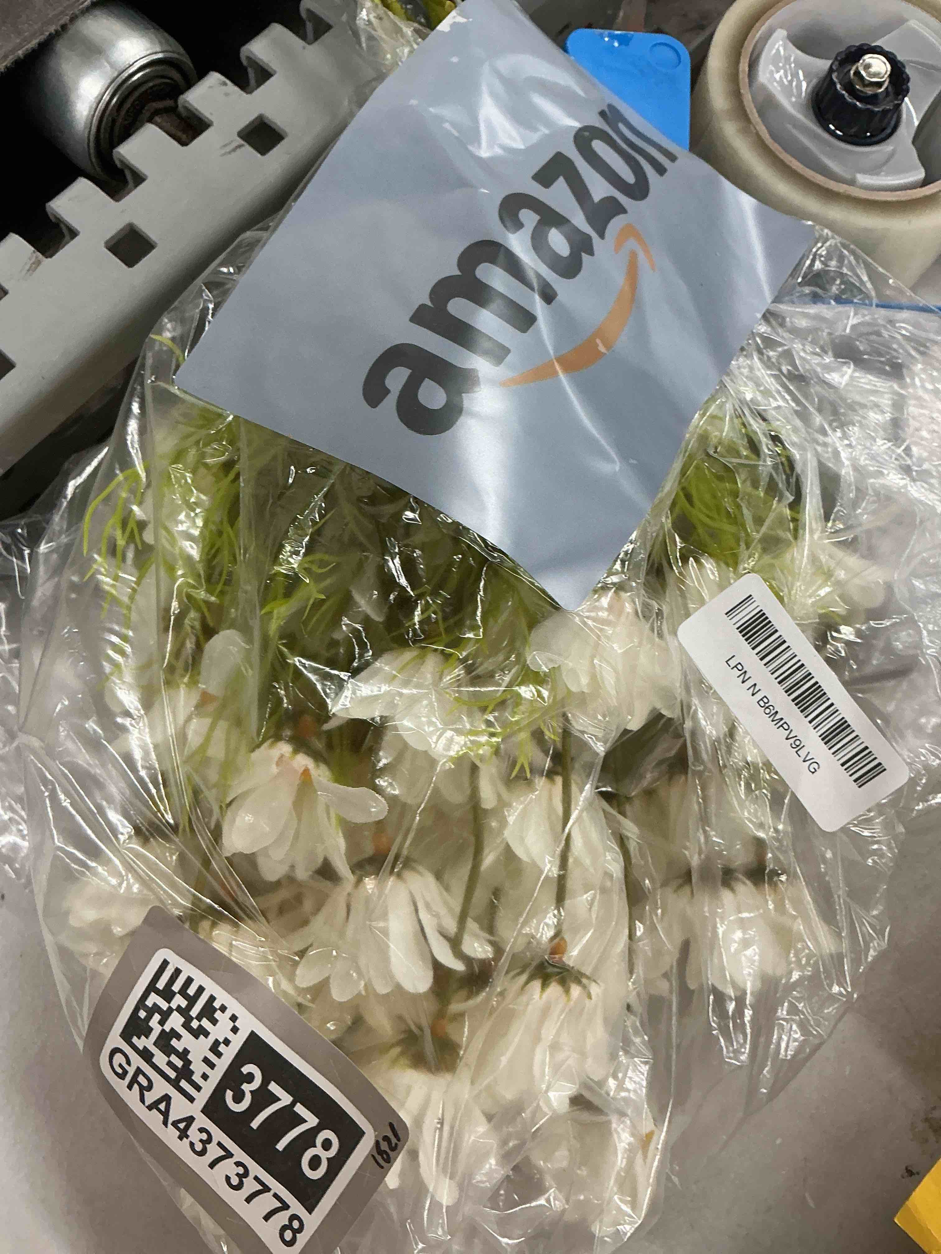 https://s3.amazonaws.com/lotting-images-prod/EmanualPiazza/GRA4373778_1777661066494.jpeg