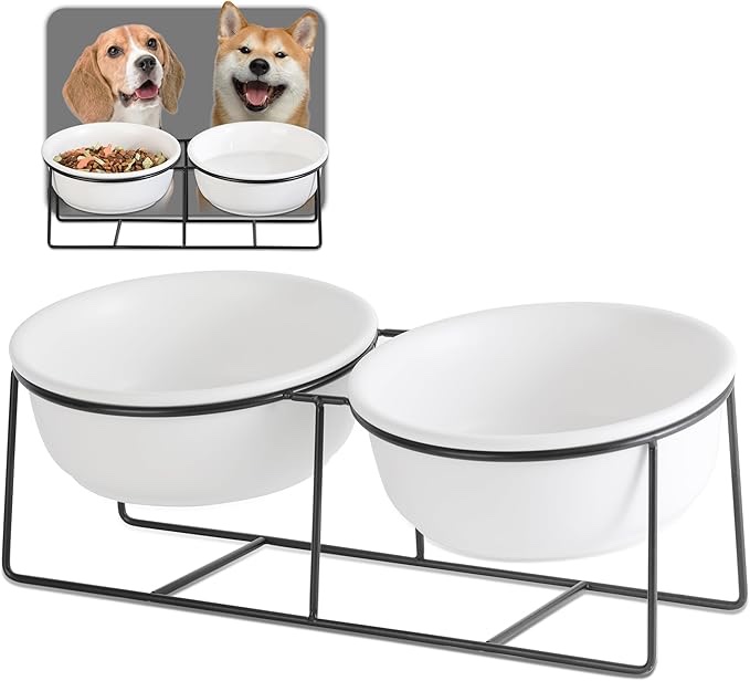 Dog Bowl Set Raised Dog Bowls Ceramic - 2 Pack Dog Bowls with Non Slip Metal Rack - Double Bowl for Food and Water - For Small & Medium Dogs - 2x800ml - White