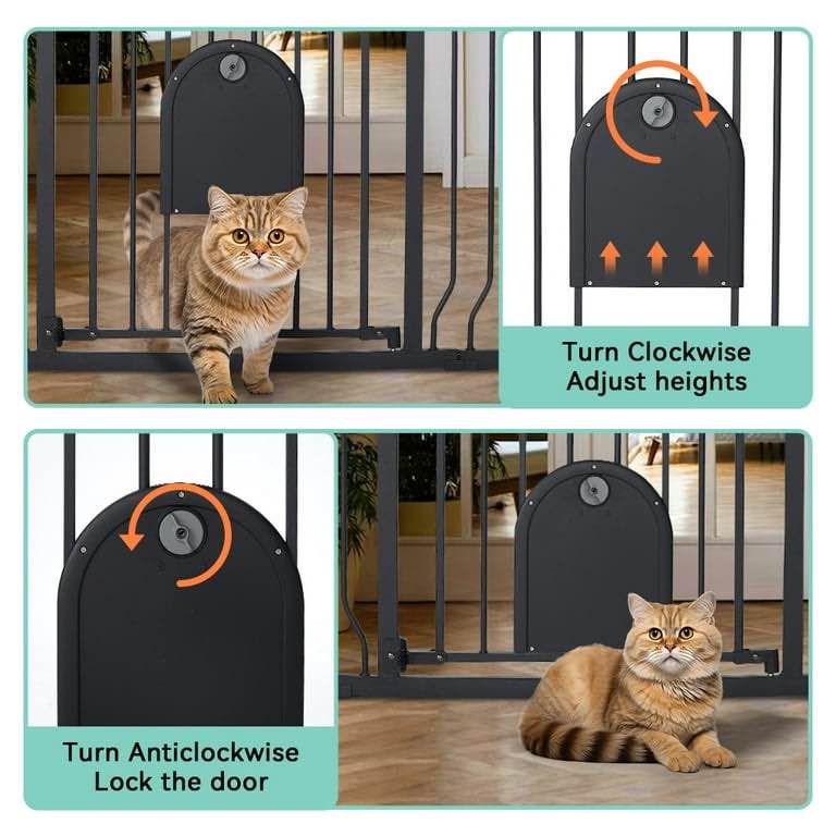 https://s3.amazonaws.com/lotting-images-prod/EmanualPiazza/GRA4722260_1781017554944.jpeg