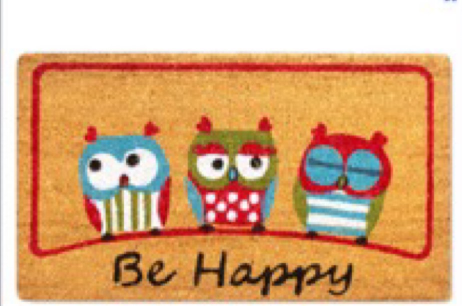 Amazon.com: LUA VIKA Coir Door mats Outdoor, Door mat Outside