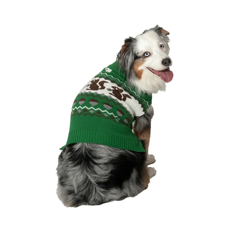 This is a Vibrant Life Squirrel Dog Sweater in size medium and green color.