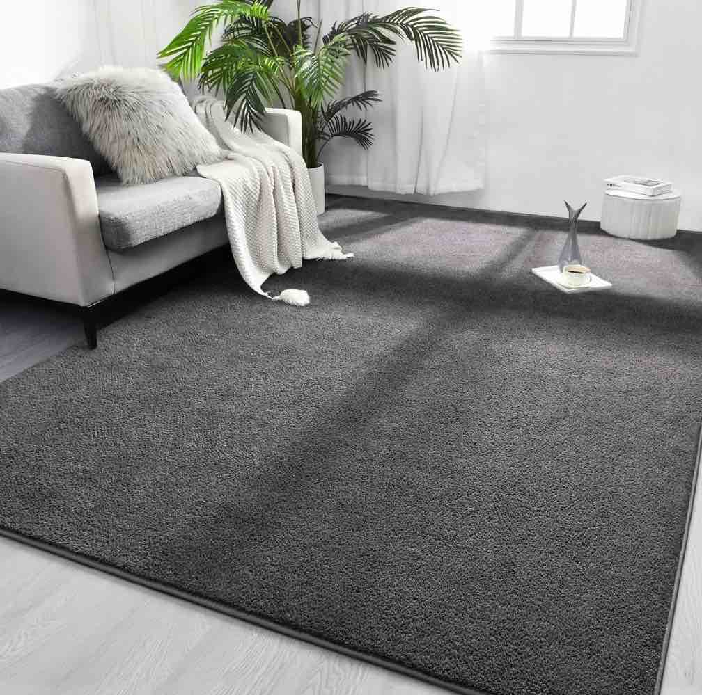 Noahas Soft Low Pile Rug Modern Area Rugs for Bedroom Living Room,Suitable for Boys Girls Teenagers and Adults with Super Soft Touch , Dark Grey , 5' x 8'