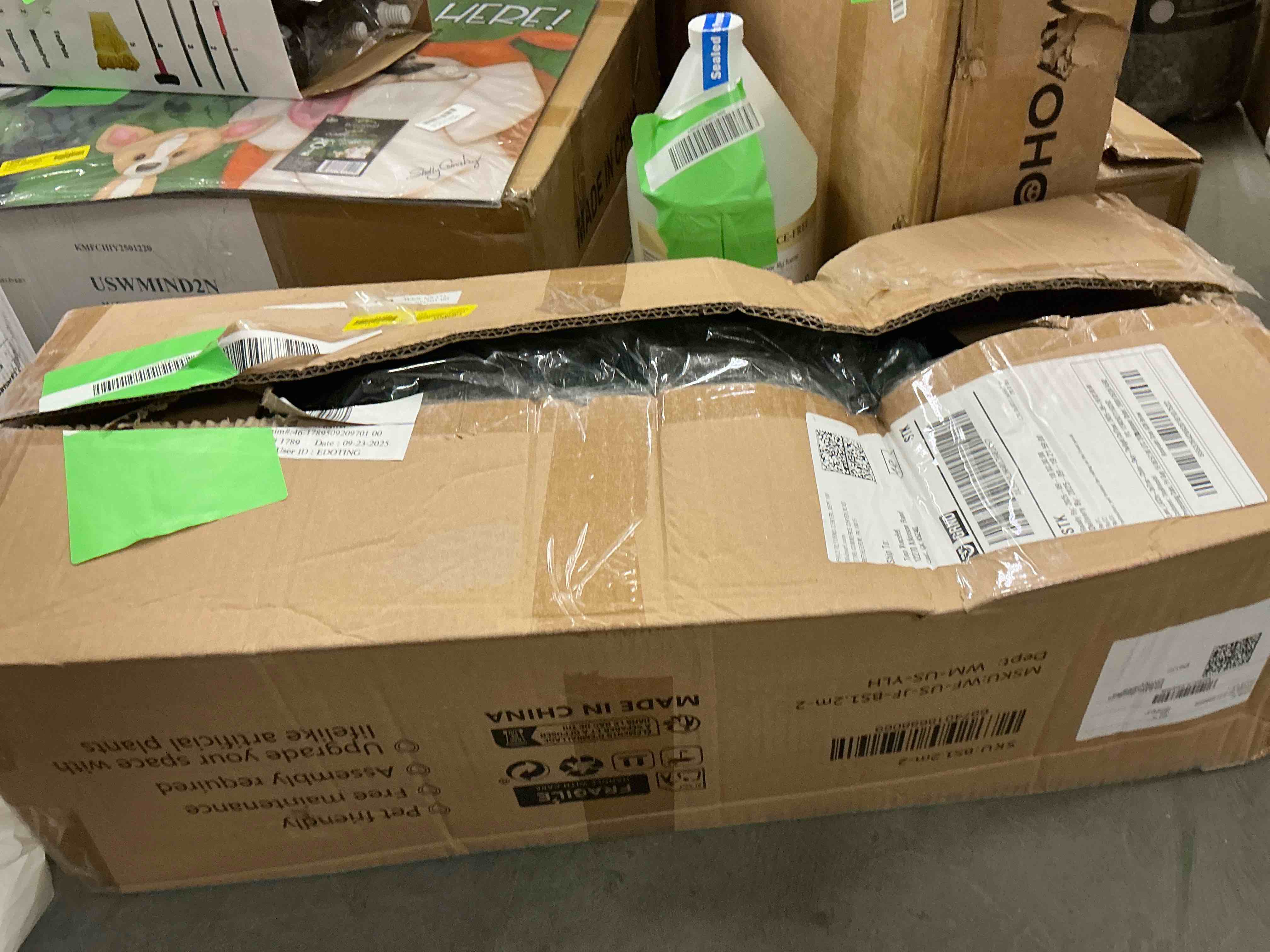 https://s3.amazonaws.com/lotting-images-prod/EmanualPiazza/PNK3436871_1760643895913.jpeg