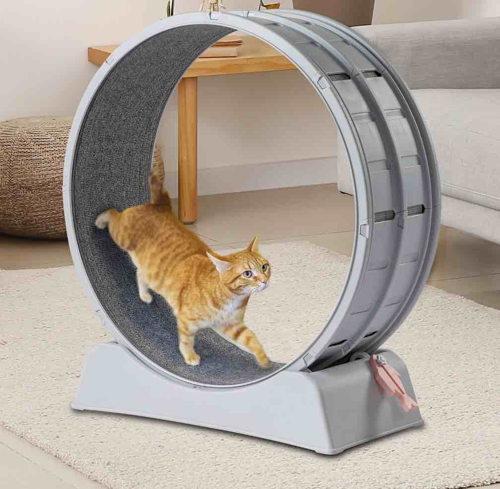 UBesGoo Cat Exercise Wheel -Safe 31in-Cat Treadmill Wheel Exerciser with Carpeted Runway for Daily Exercise and Weight Loss, Gray